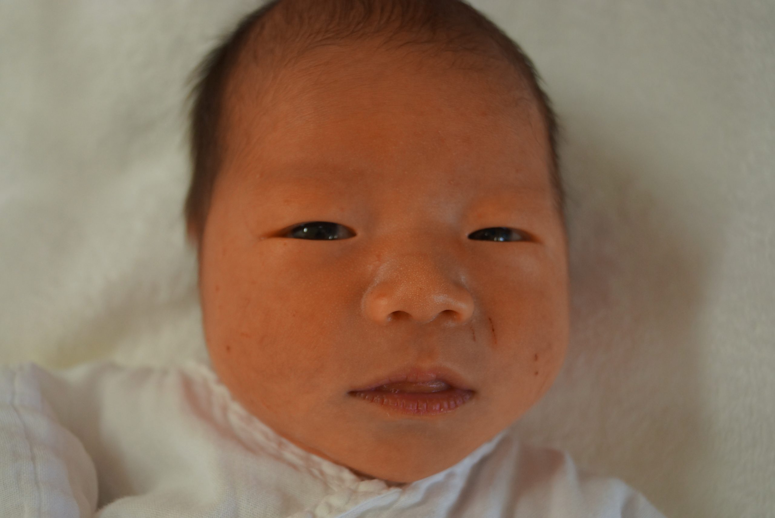 今月の赤ちゃん