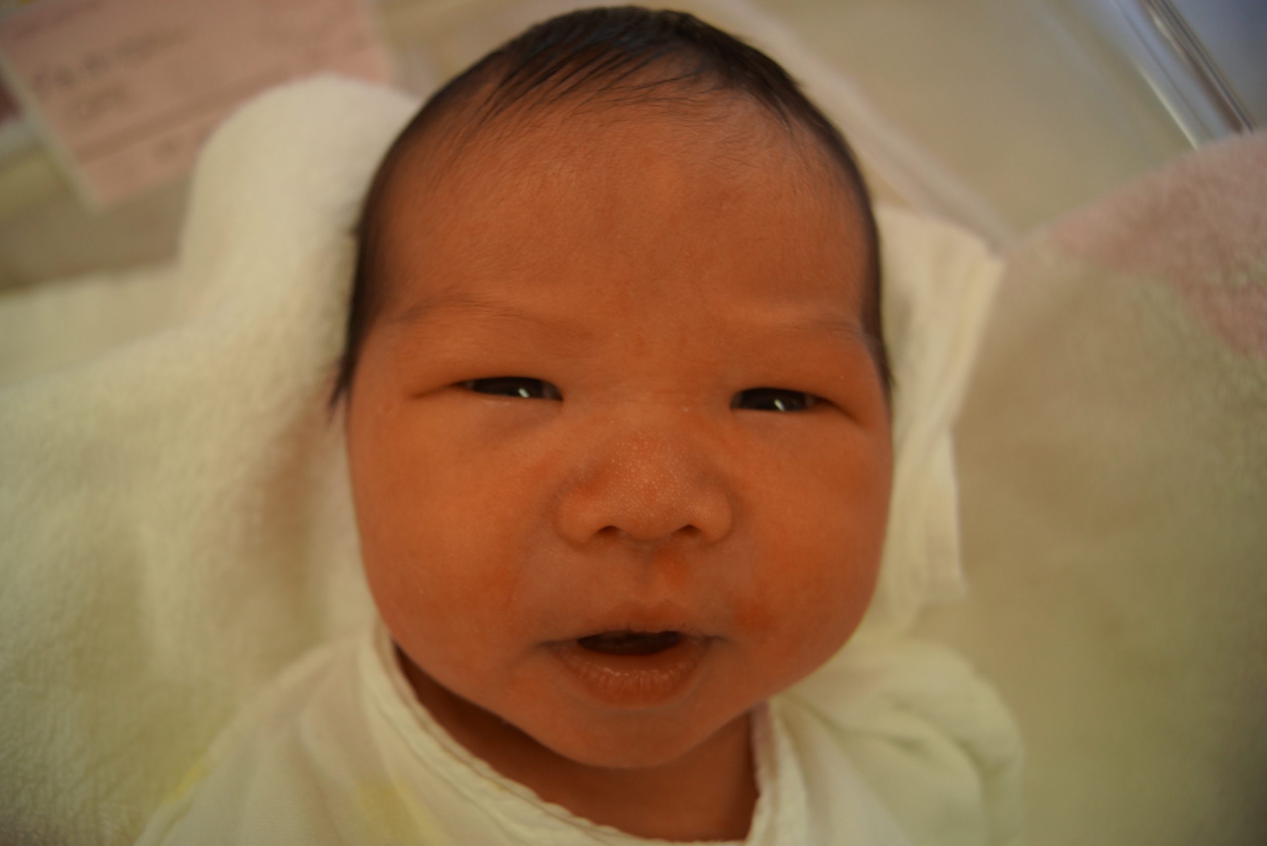 今月の赤ちゃん