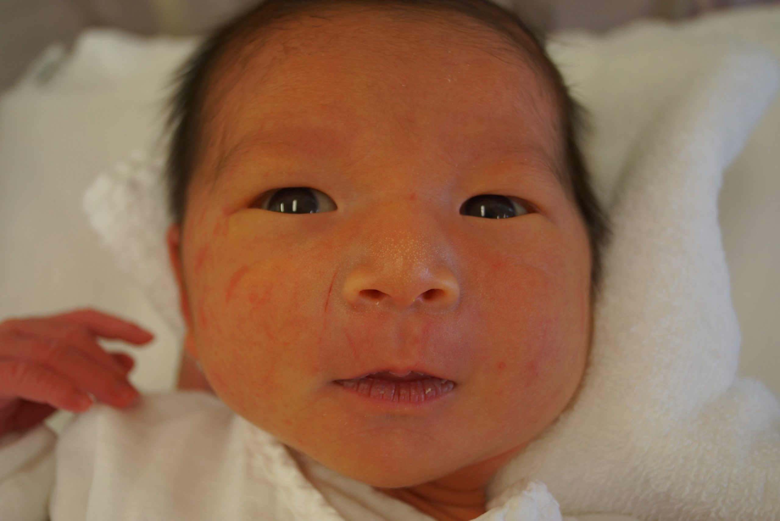 今月の赤ちゃん