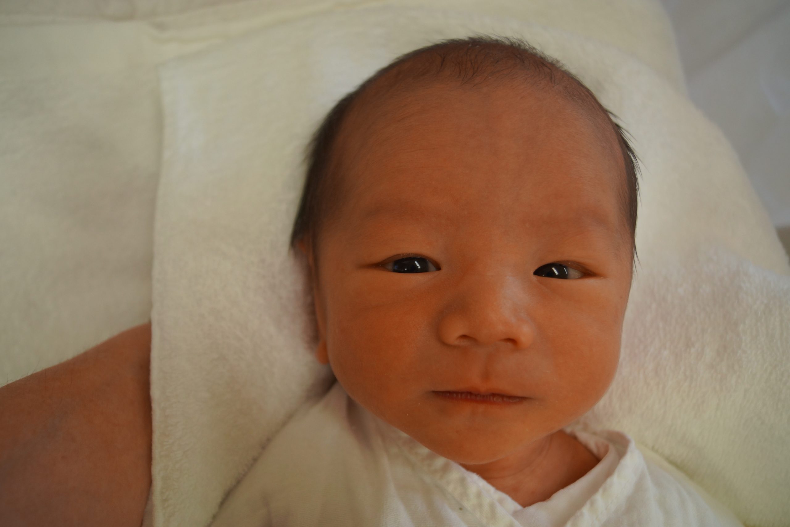 今月の赤ちゃん