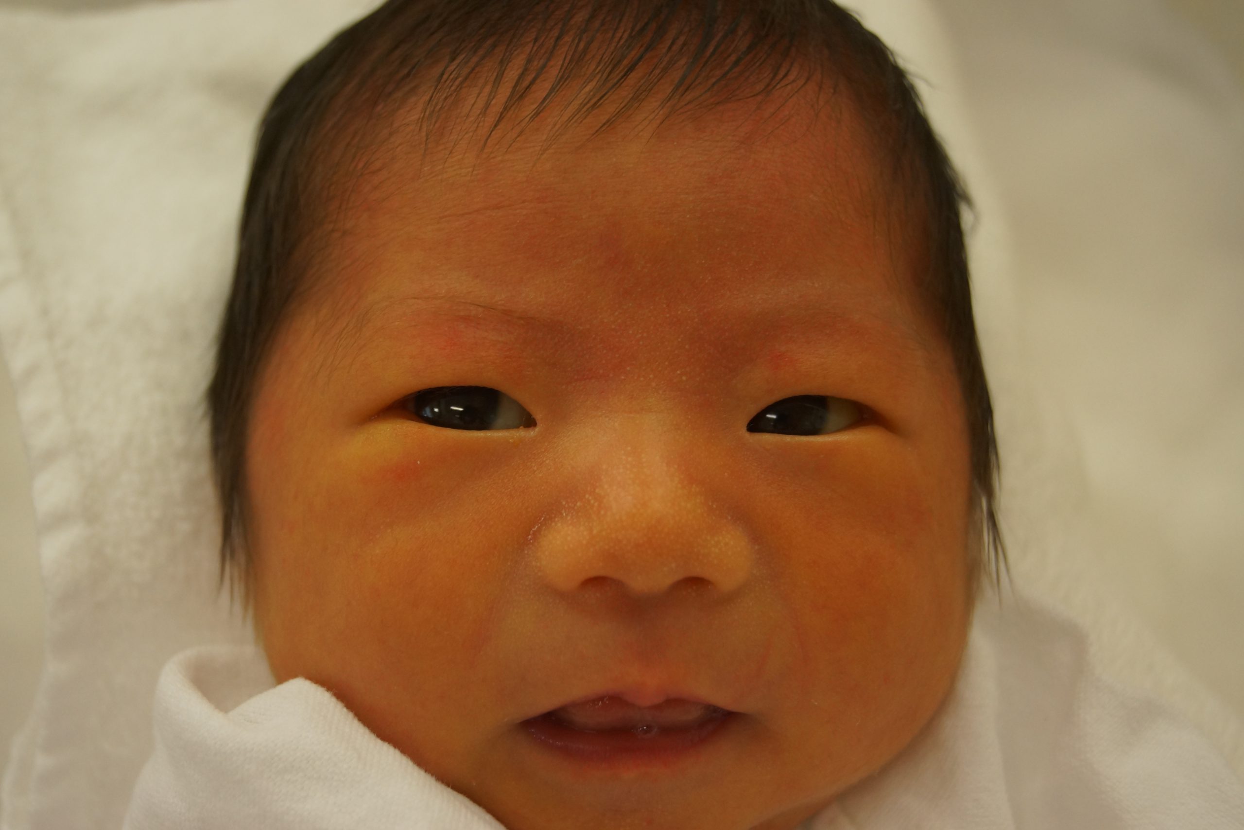 今月の赤ちゃん