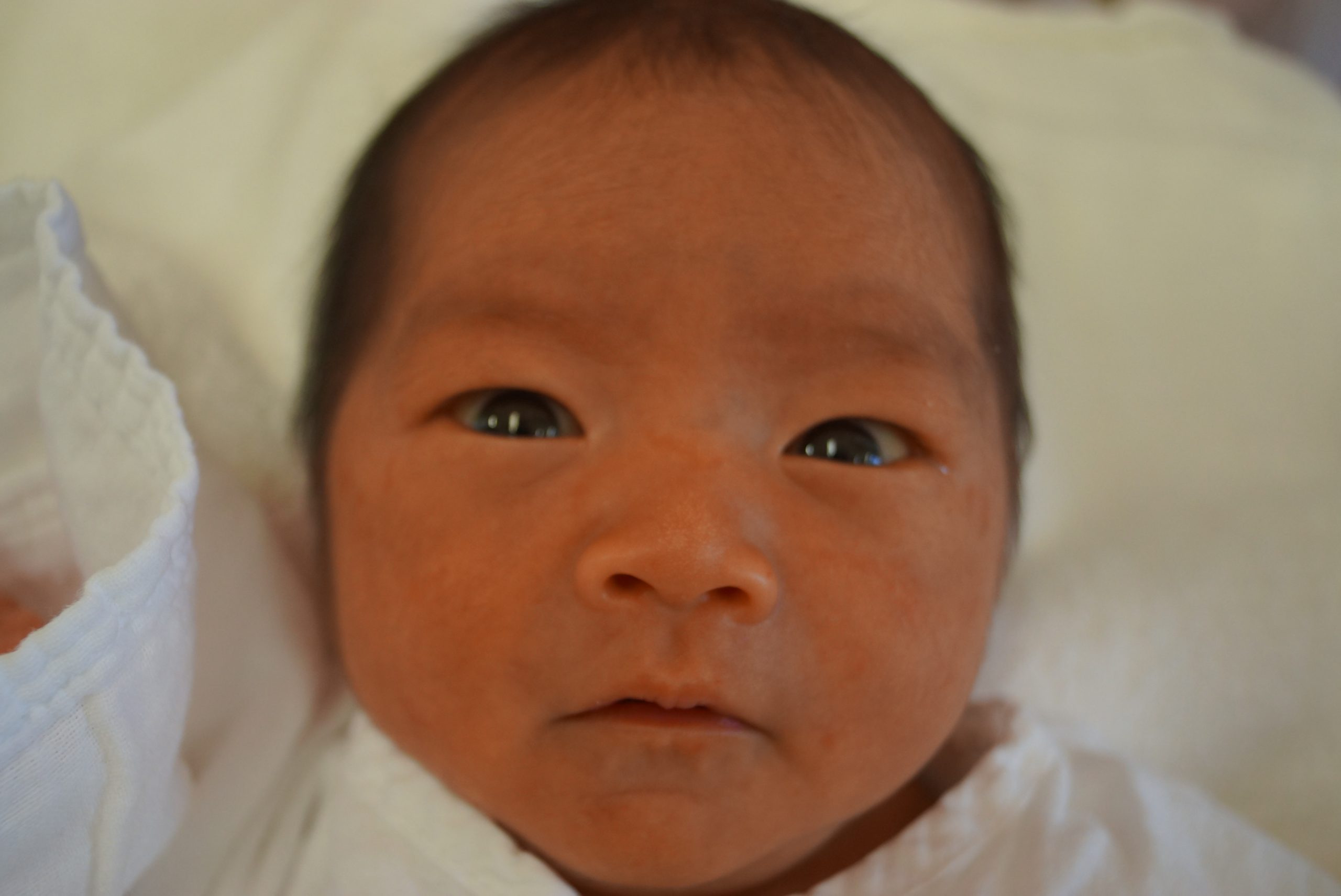 今月の赤ちゃん