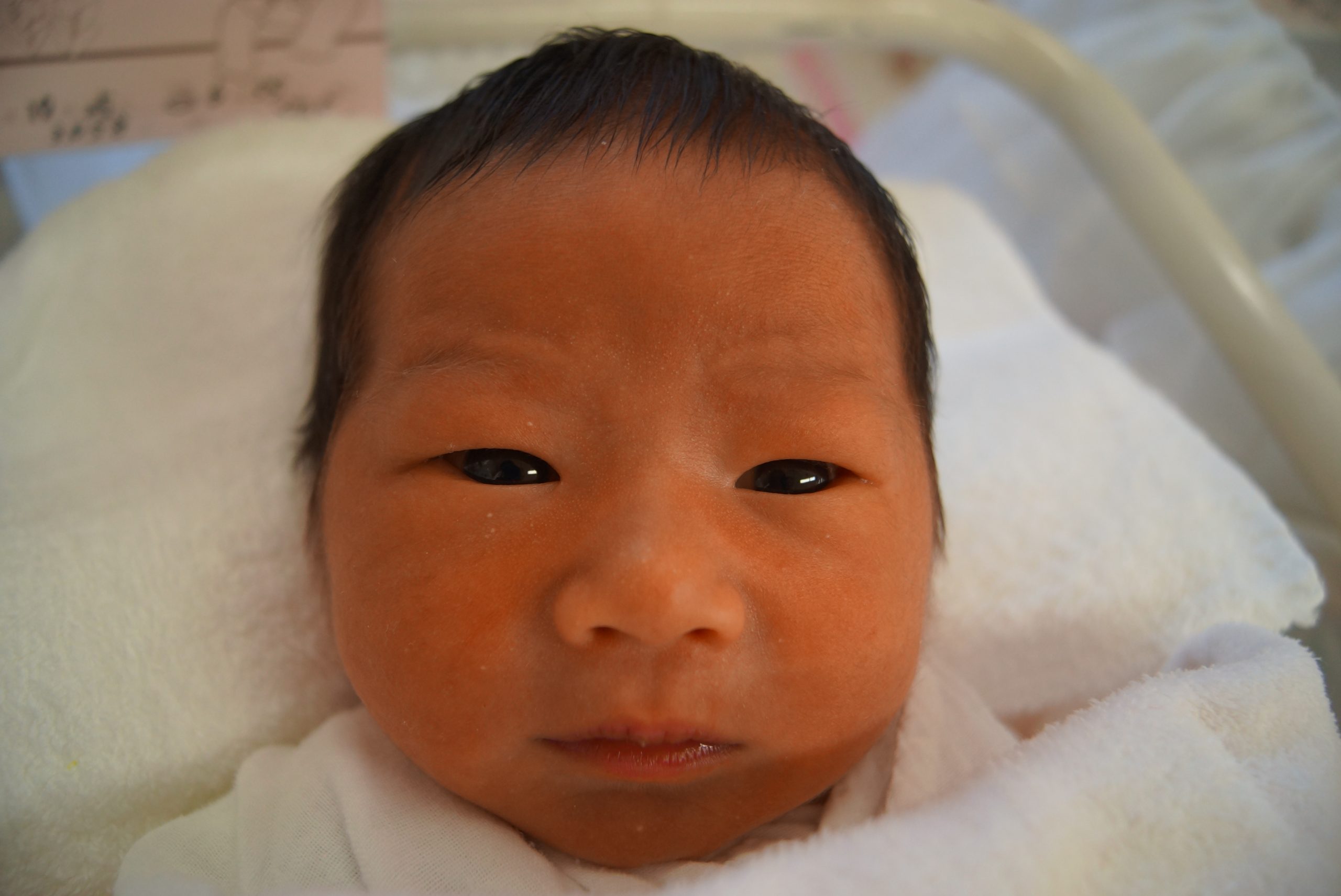 今月の赤ちゃん