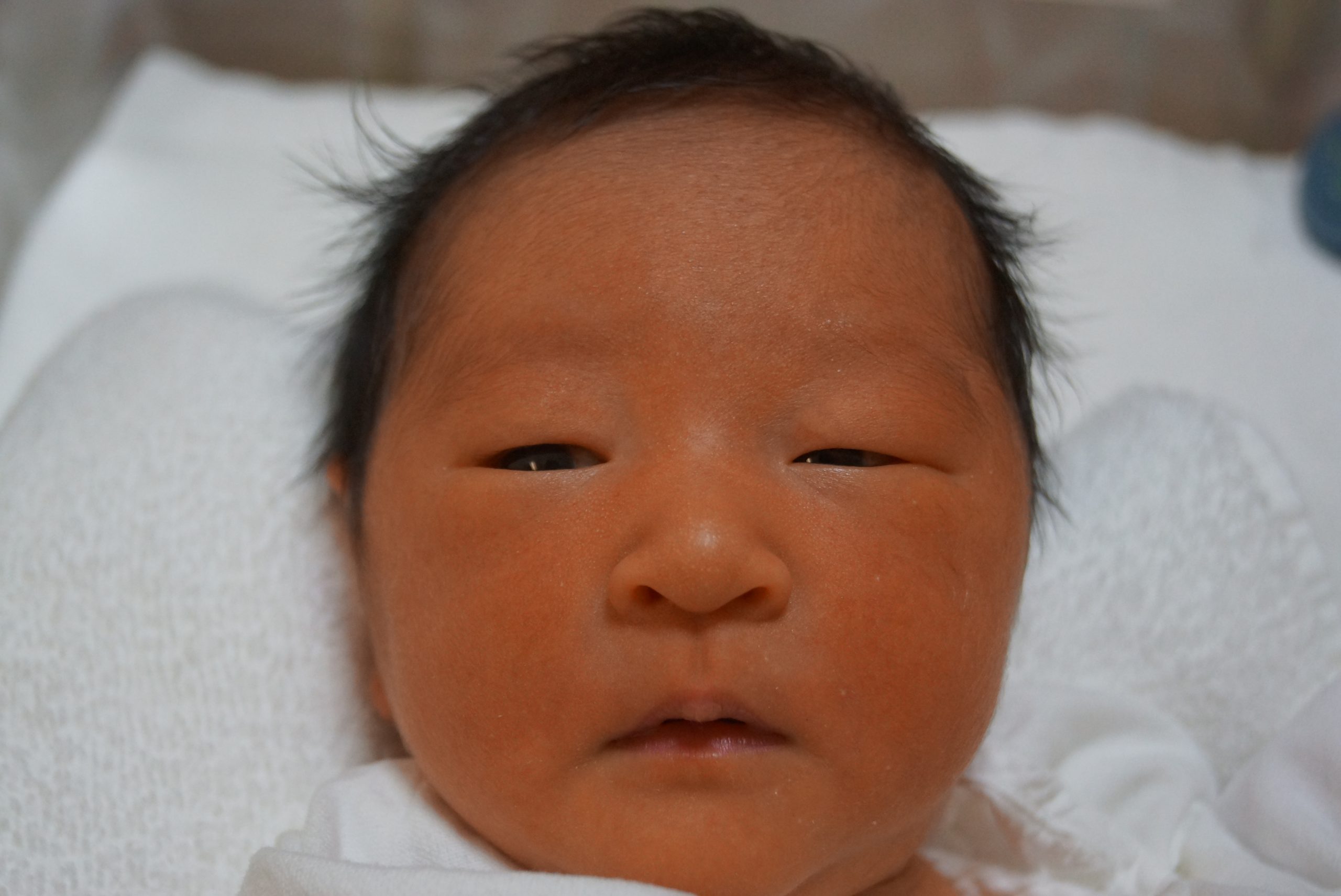 今月の赤ちゃん