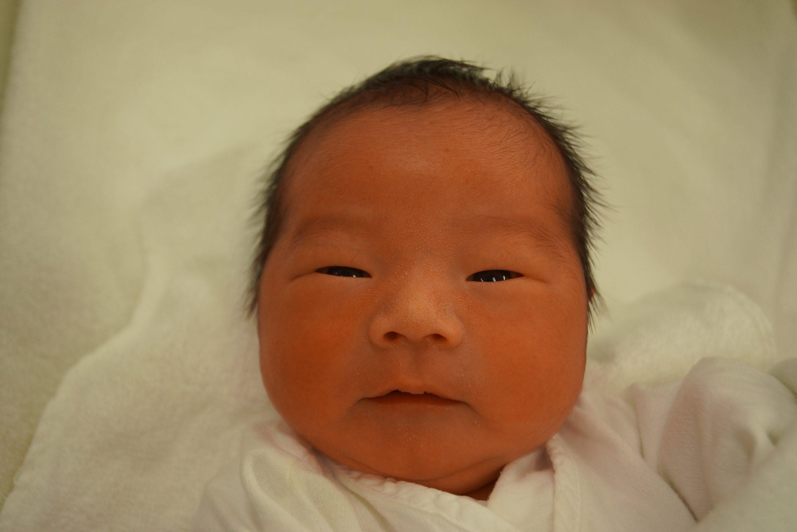 今月の赤ちゃん