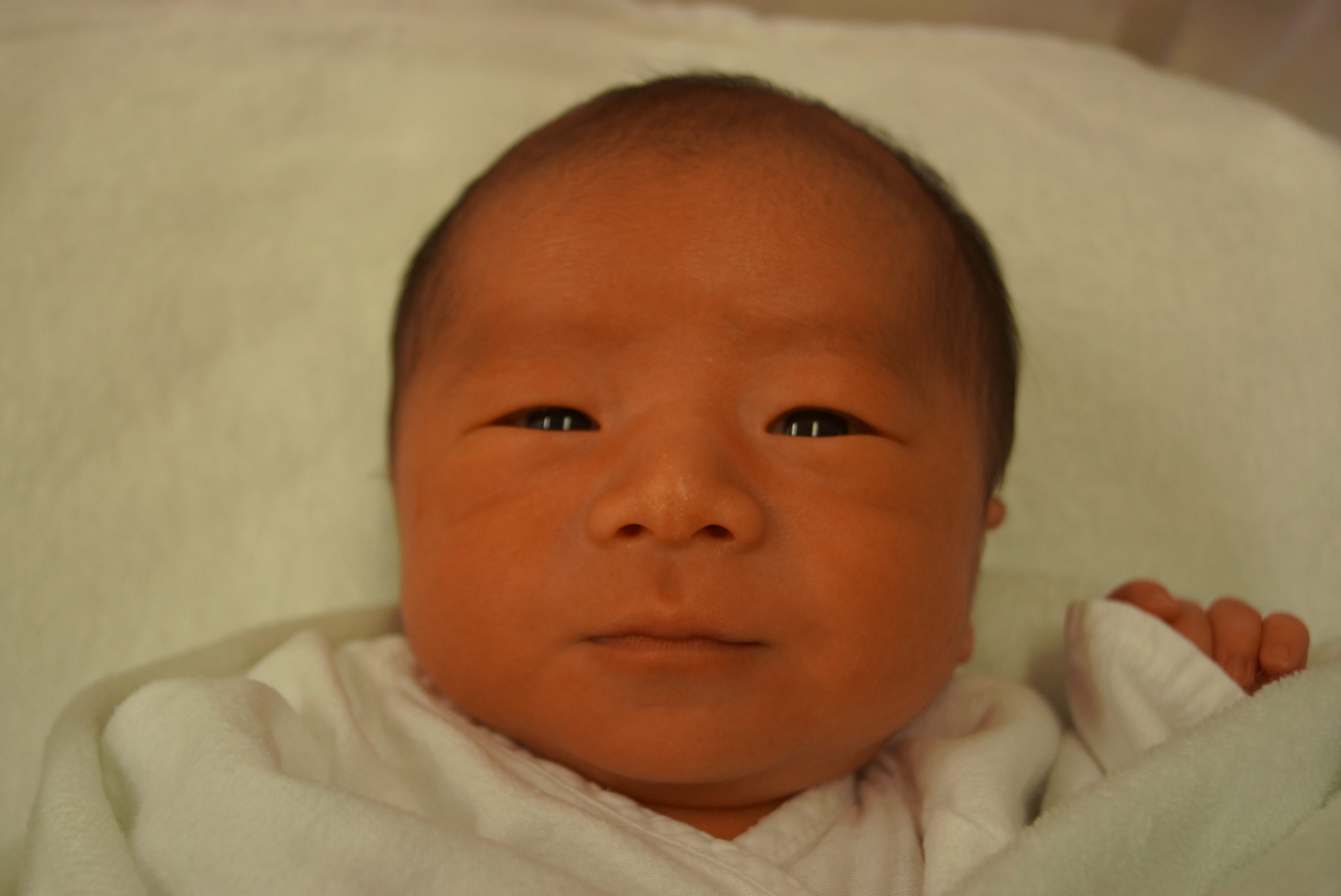 今月の赤ちゃん