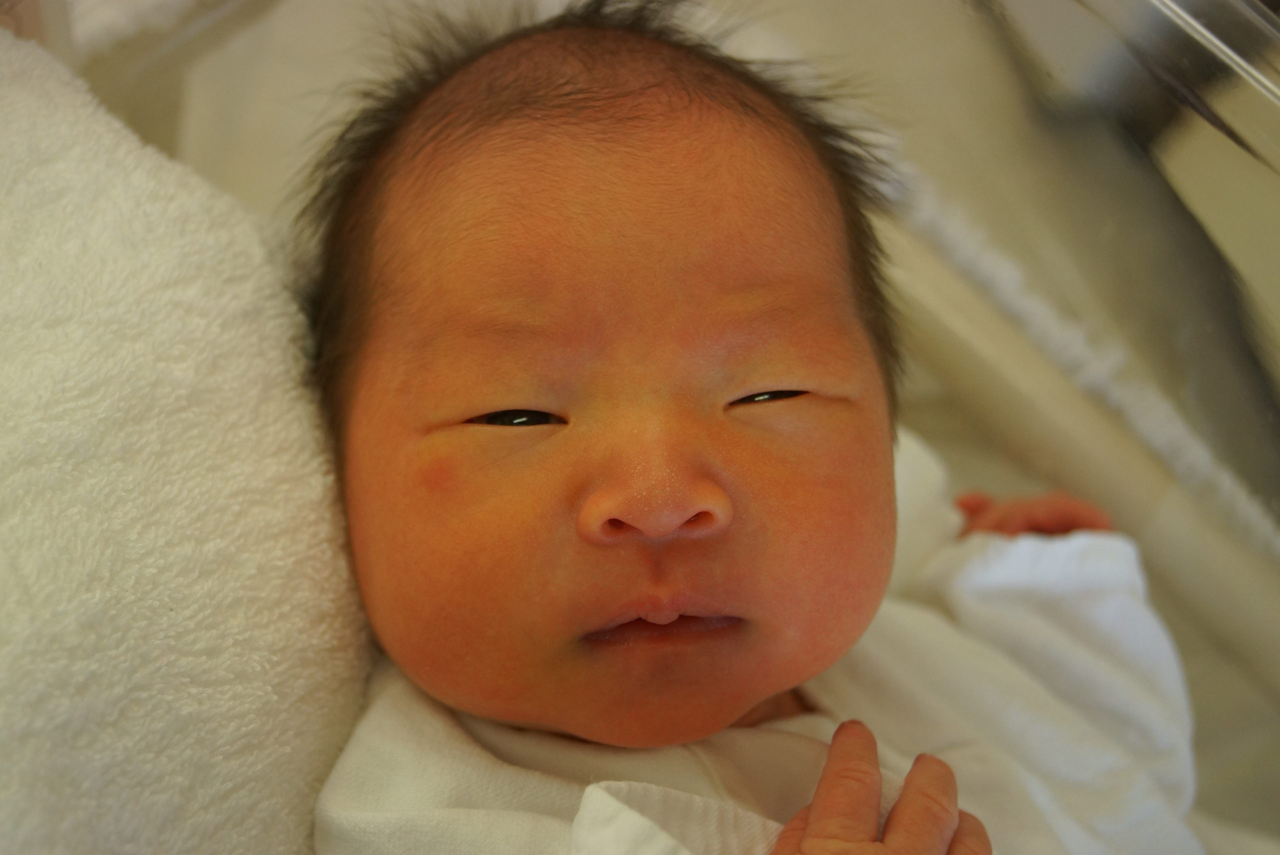 今月の赤ちゃん