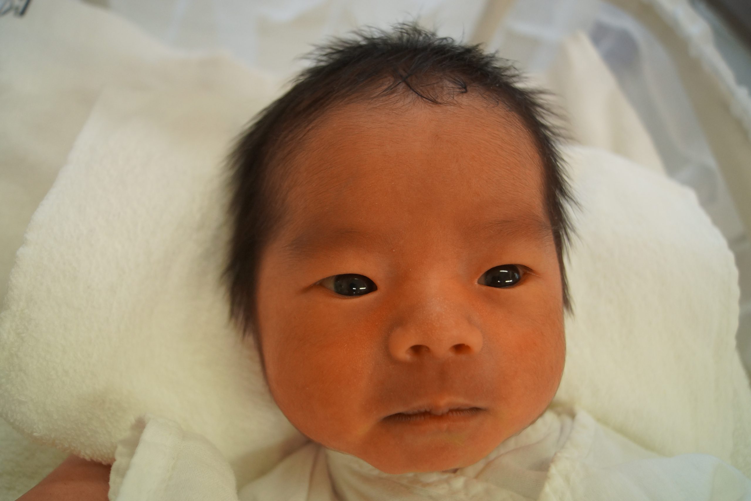 今月の赤ちゃん