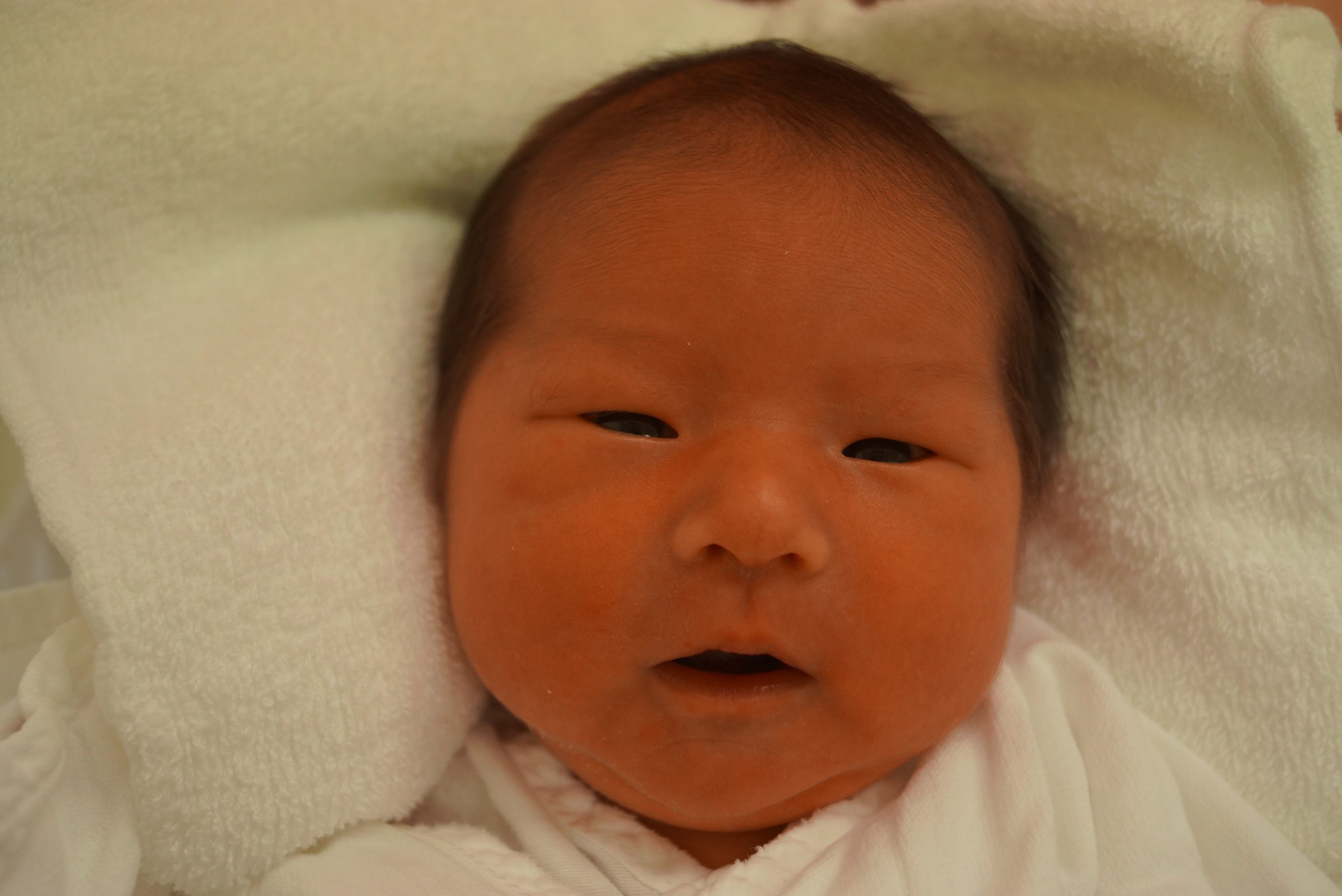 今月の赤ちゃん