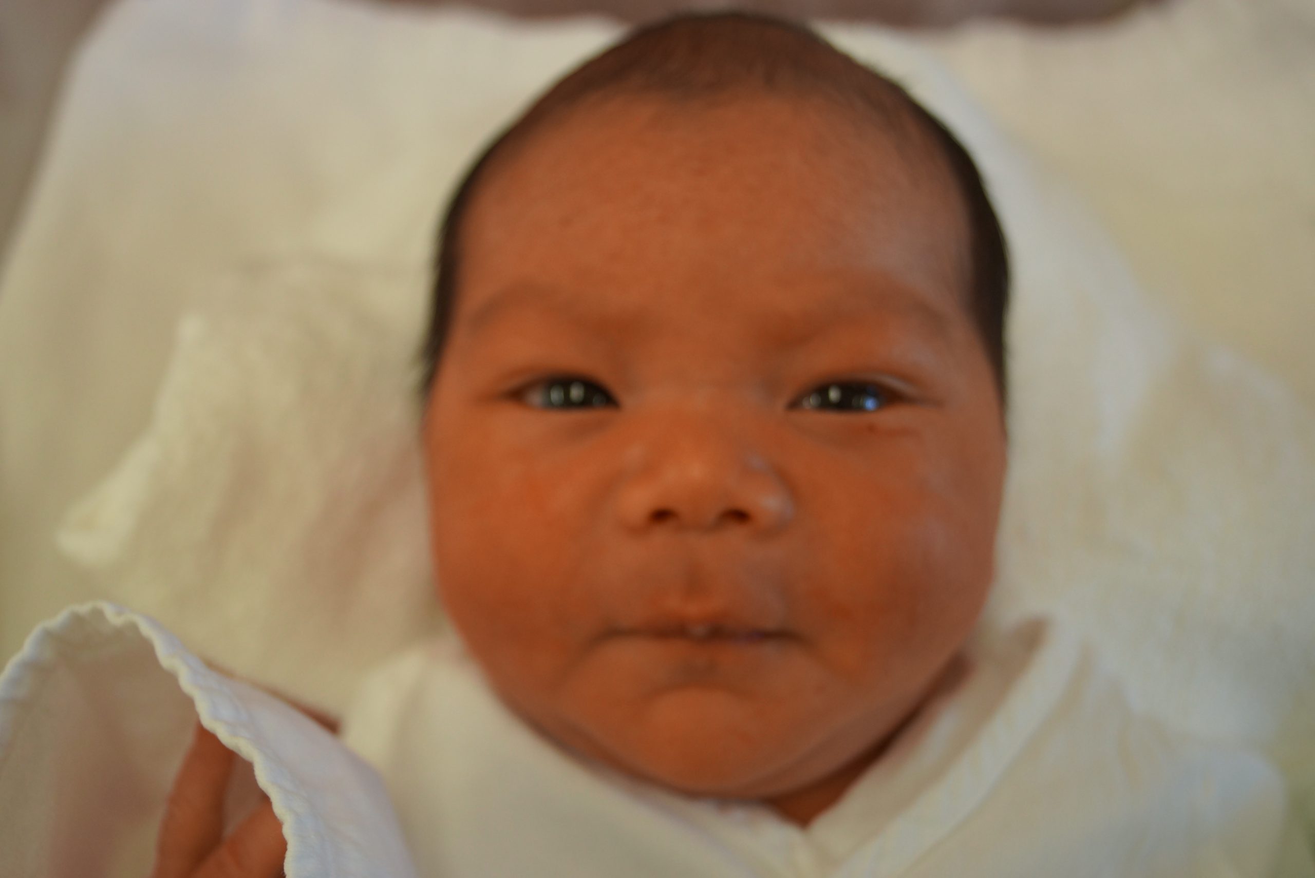 今月の赤ちゃん