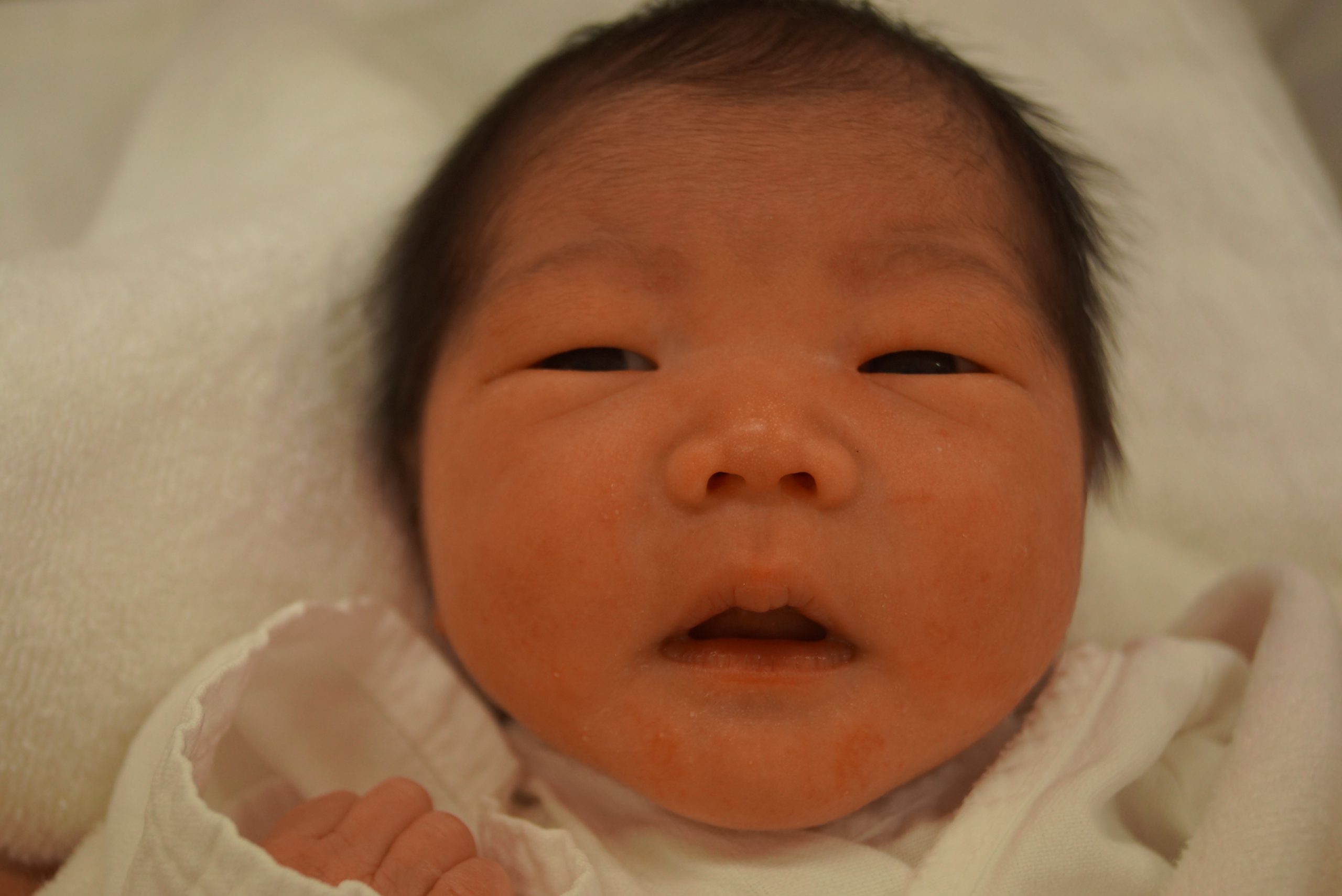 今月の赤ちゃん