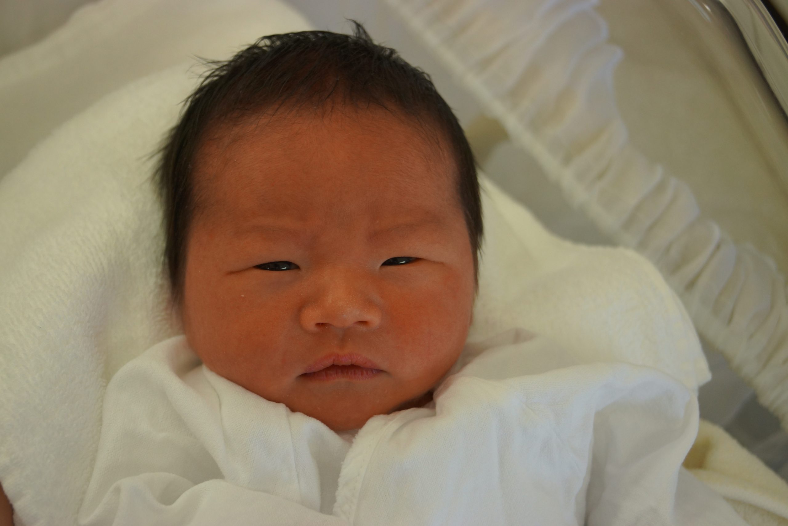 今月の赤ちゃん