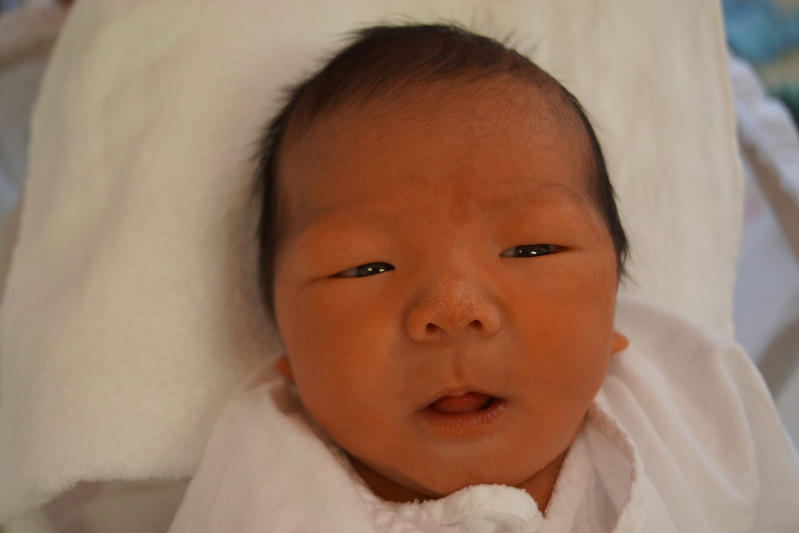 今月の赤ちゃん