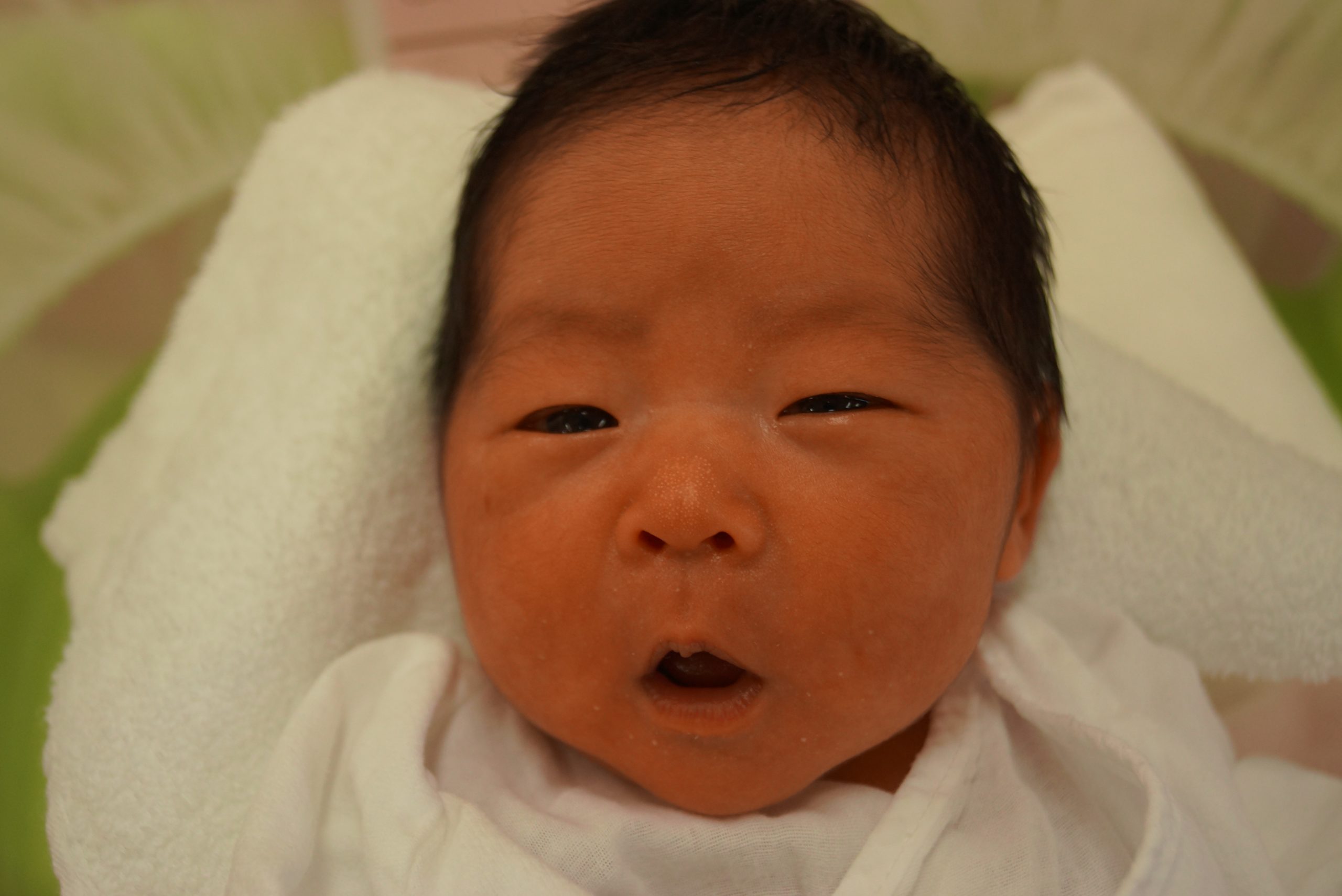 今月の赤ちゃん