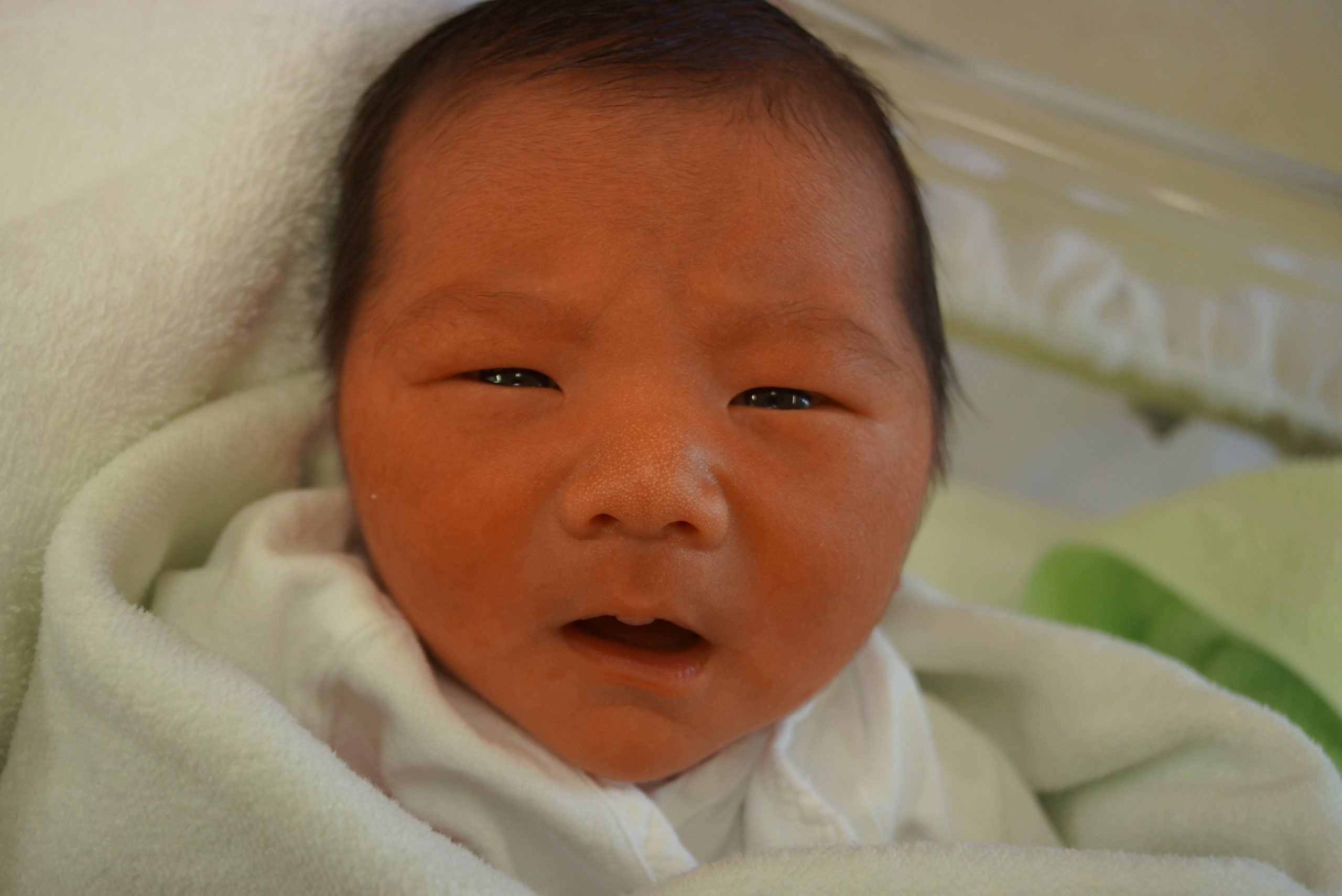 今月の赤ちゃん