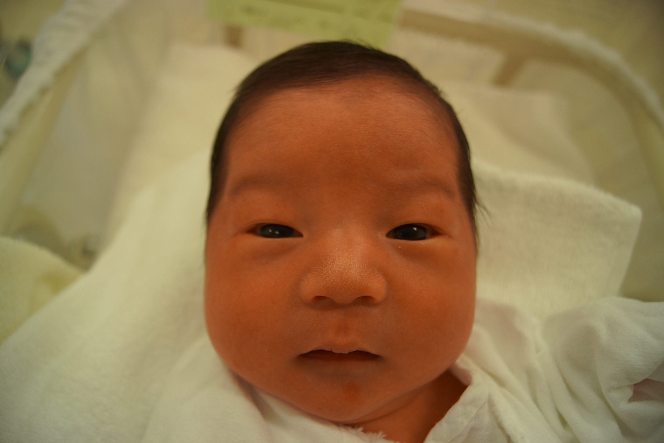 今月の赤ちゃん