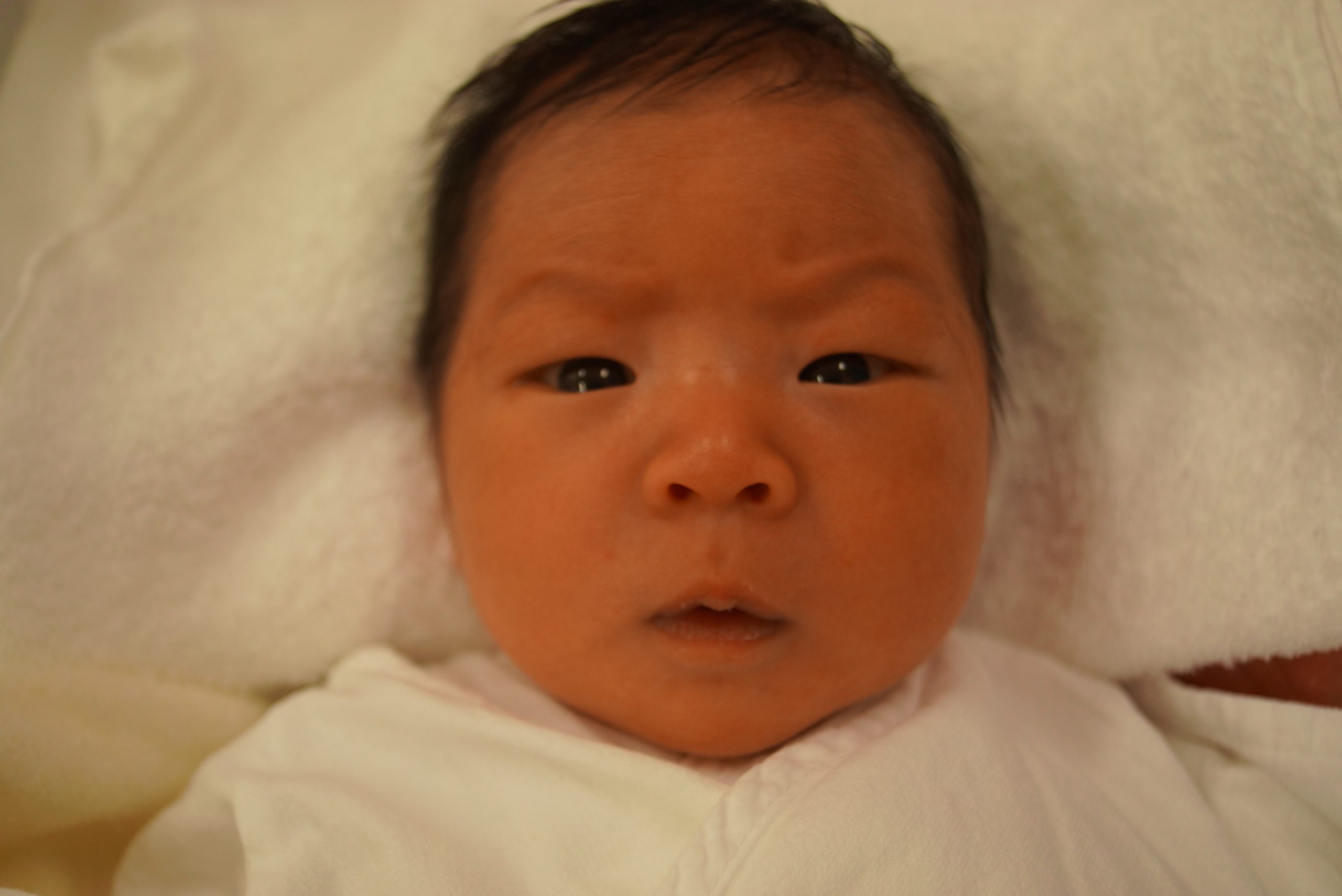 今月の赤ちゃん