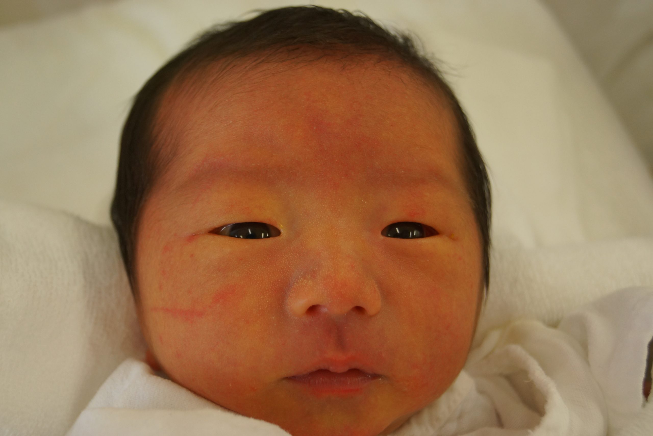 今月の赤ちゃん