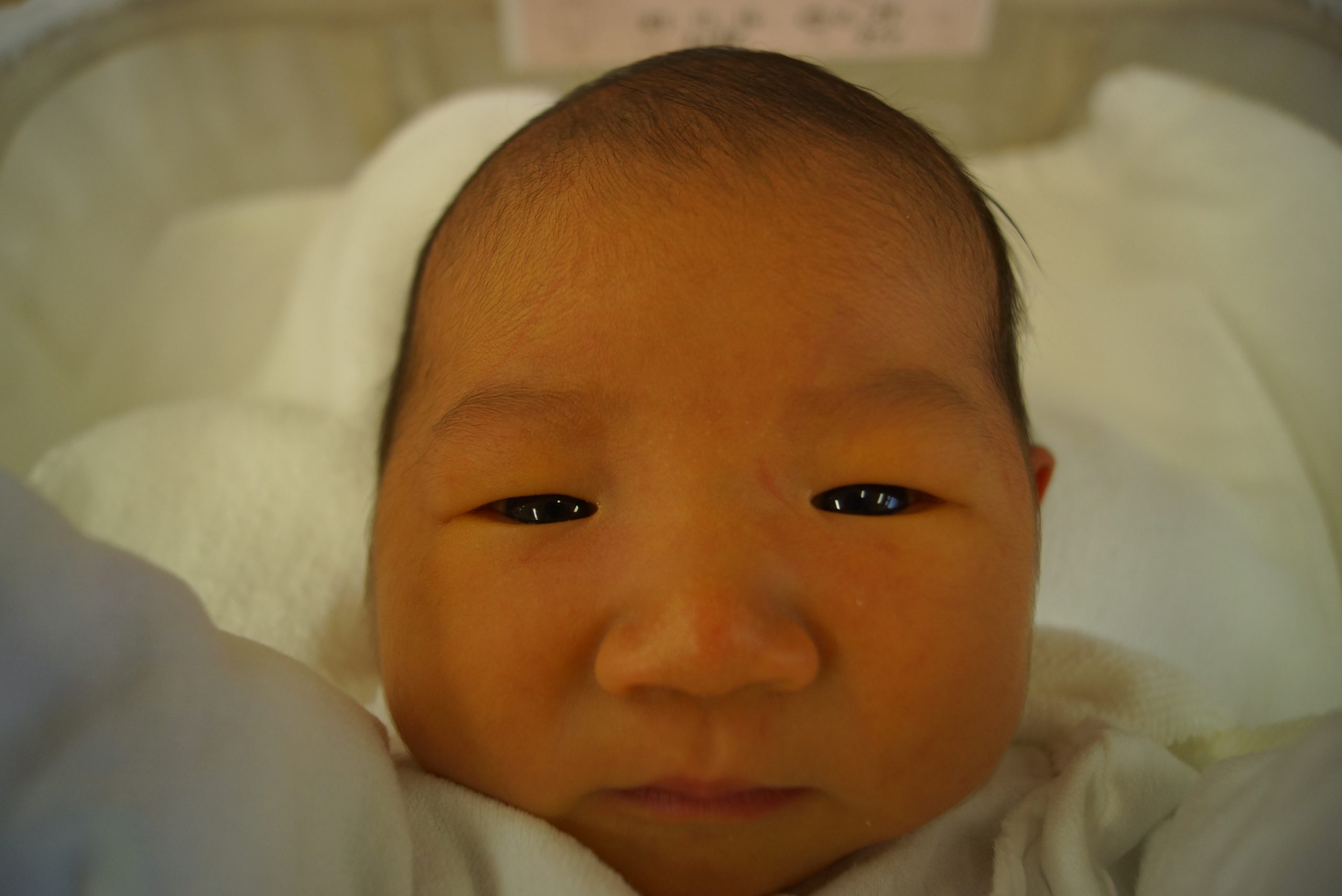 今月の赤ちゃん