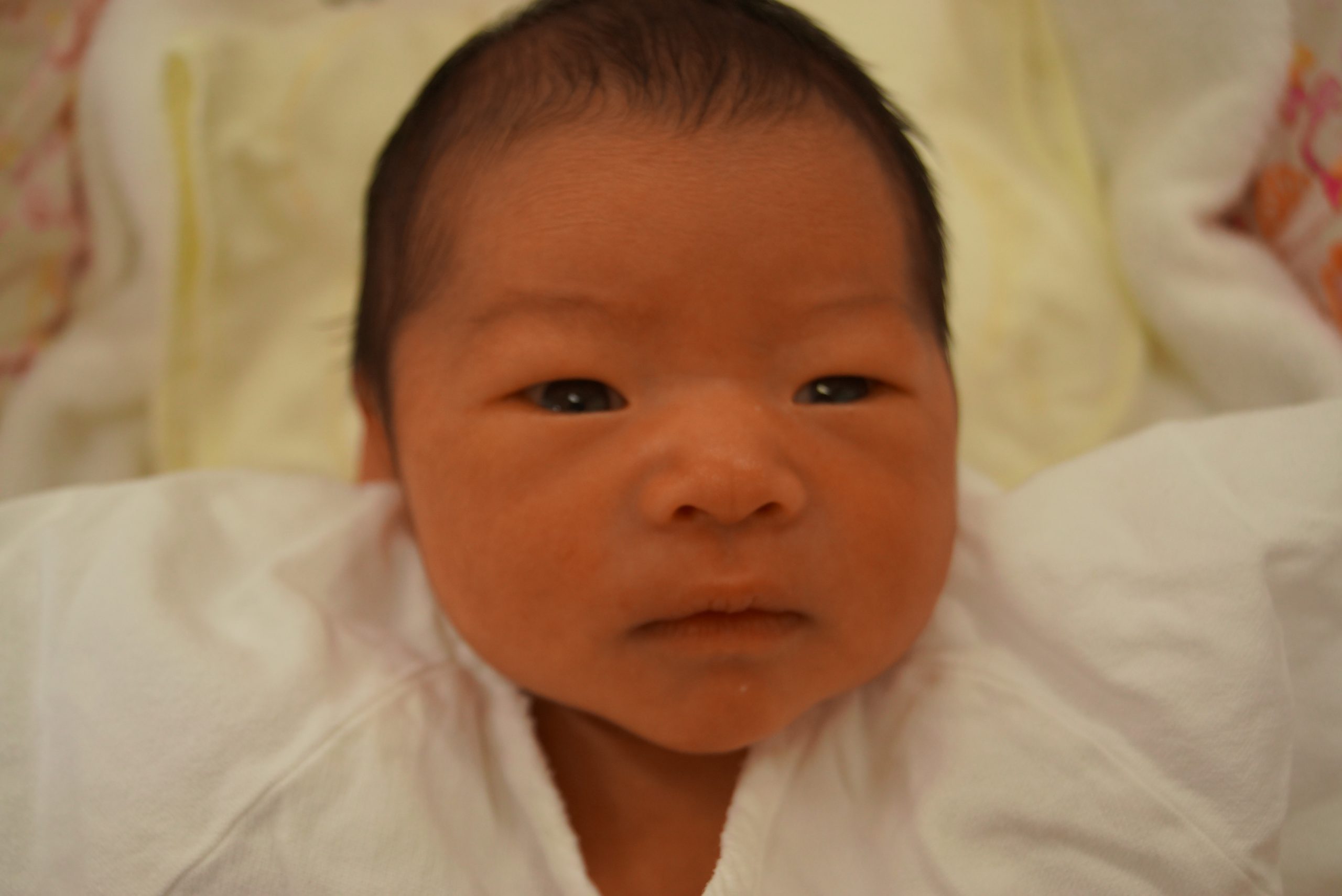 今月の赤ちゃん