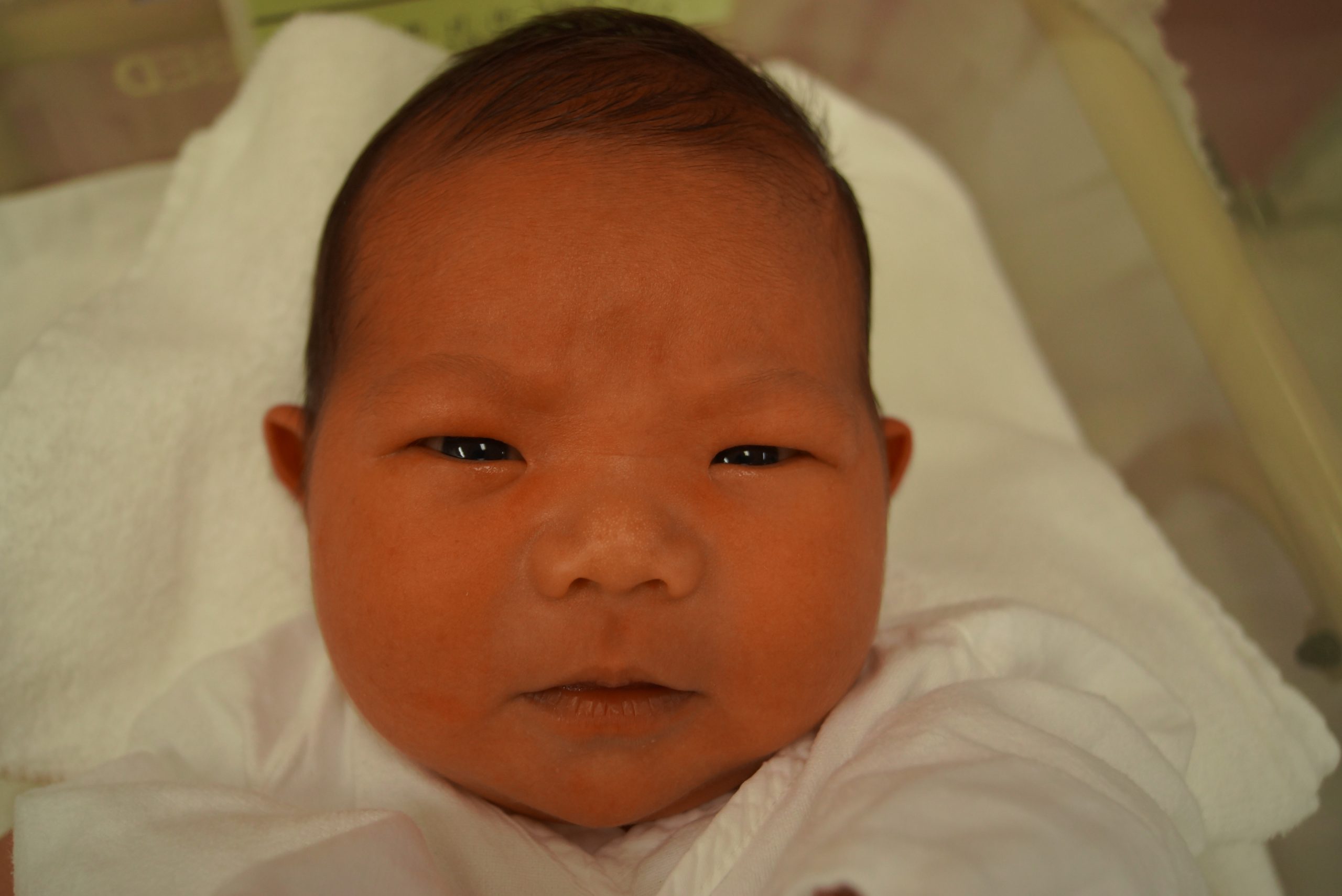 今月の赤ちゃん