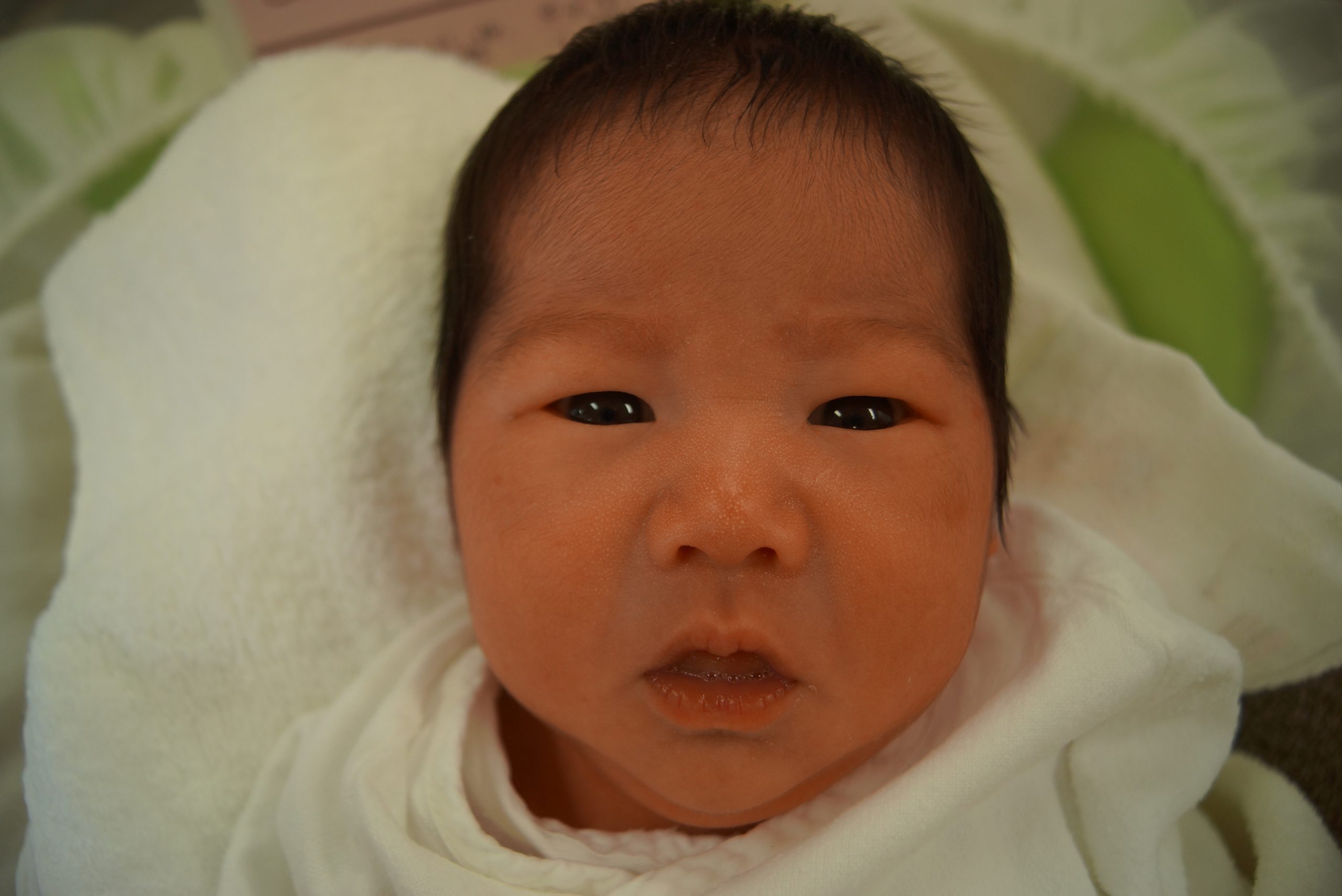 今月の赤ちゃん