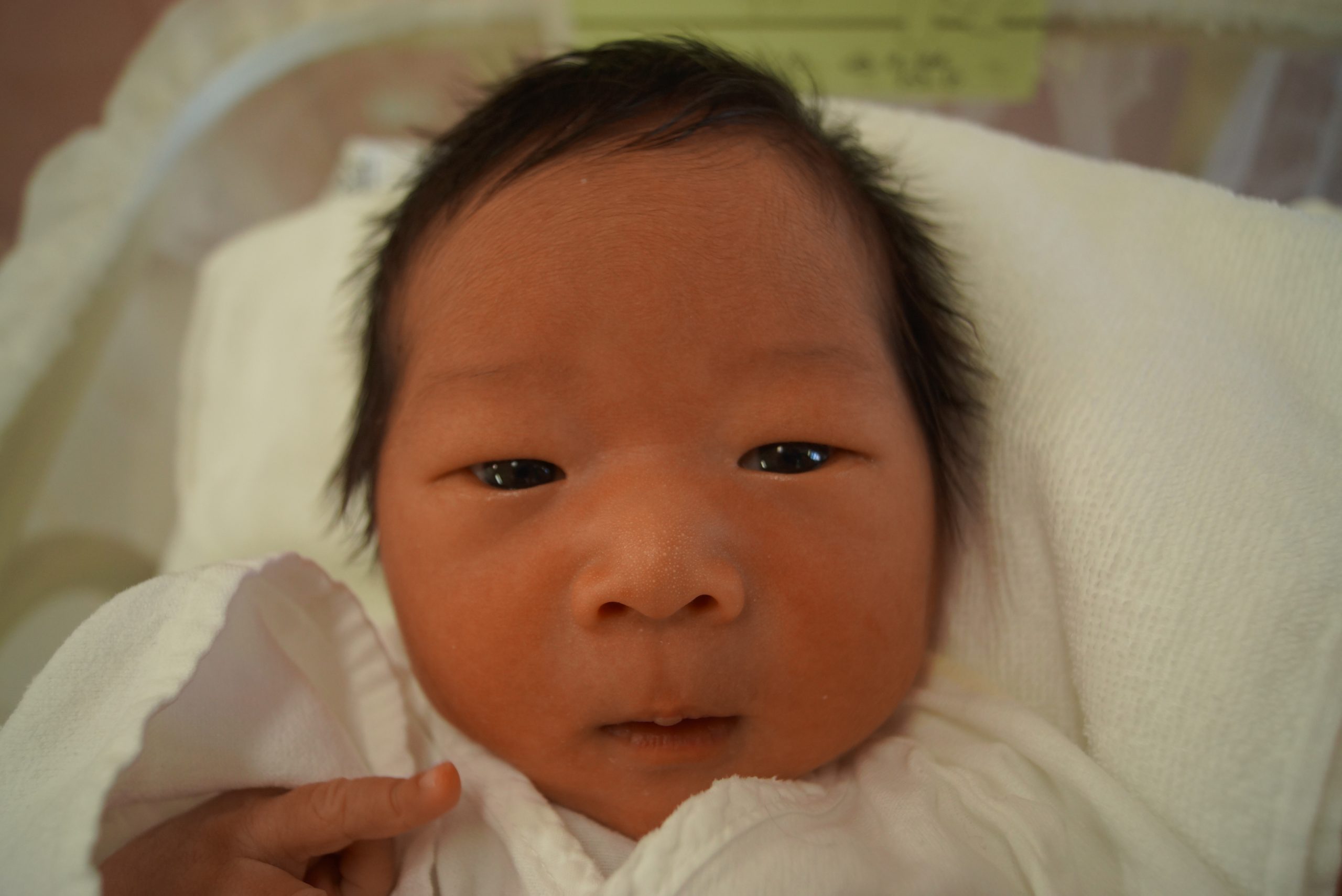 今月の赤ちゃん