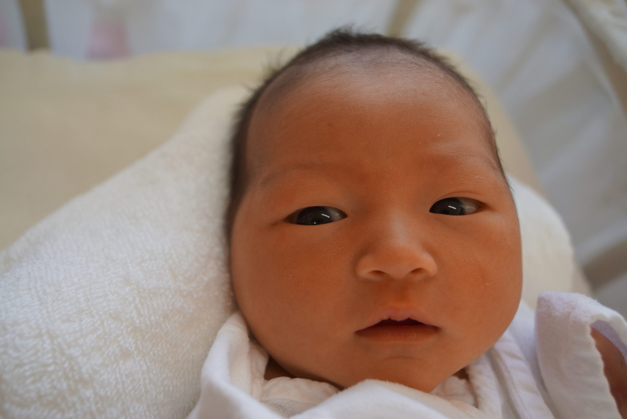 今月の赤ちゃん