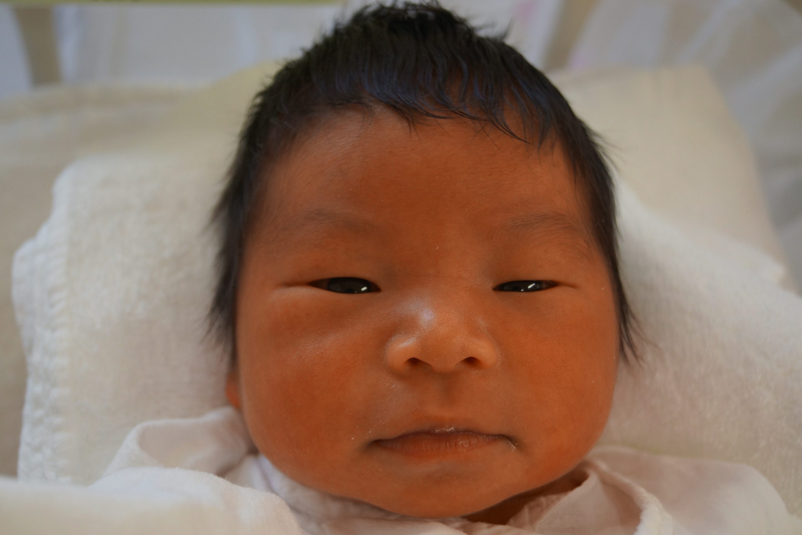 今月の赤ちゃん