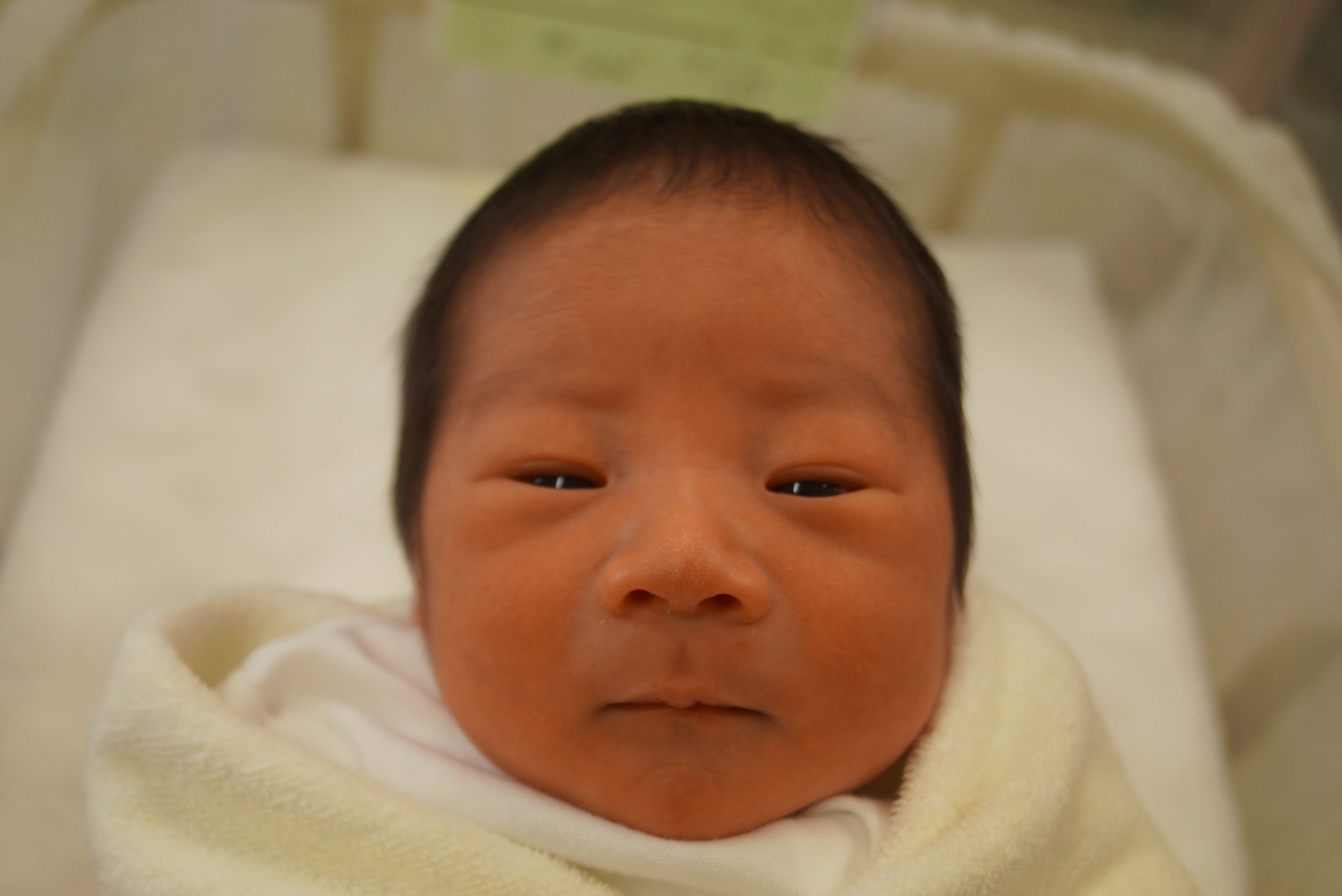 今月の赤ちゃん