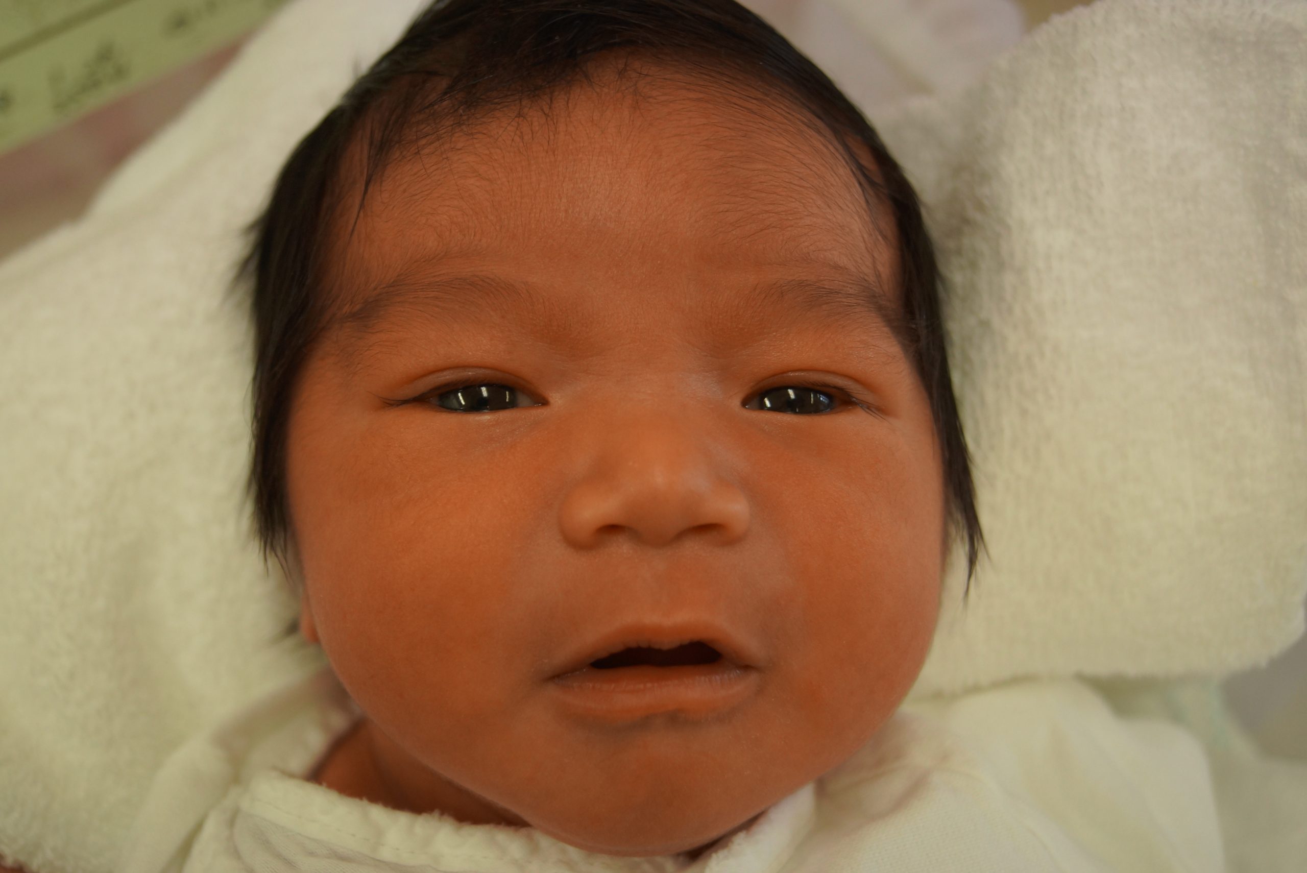 今月の赤ちゃん