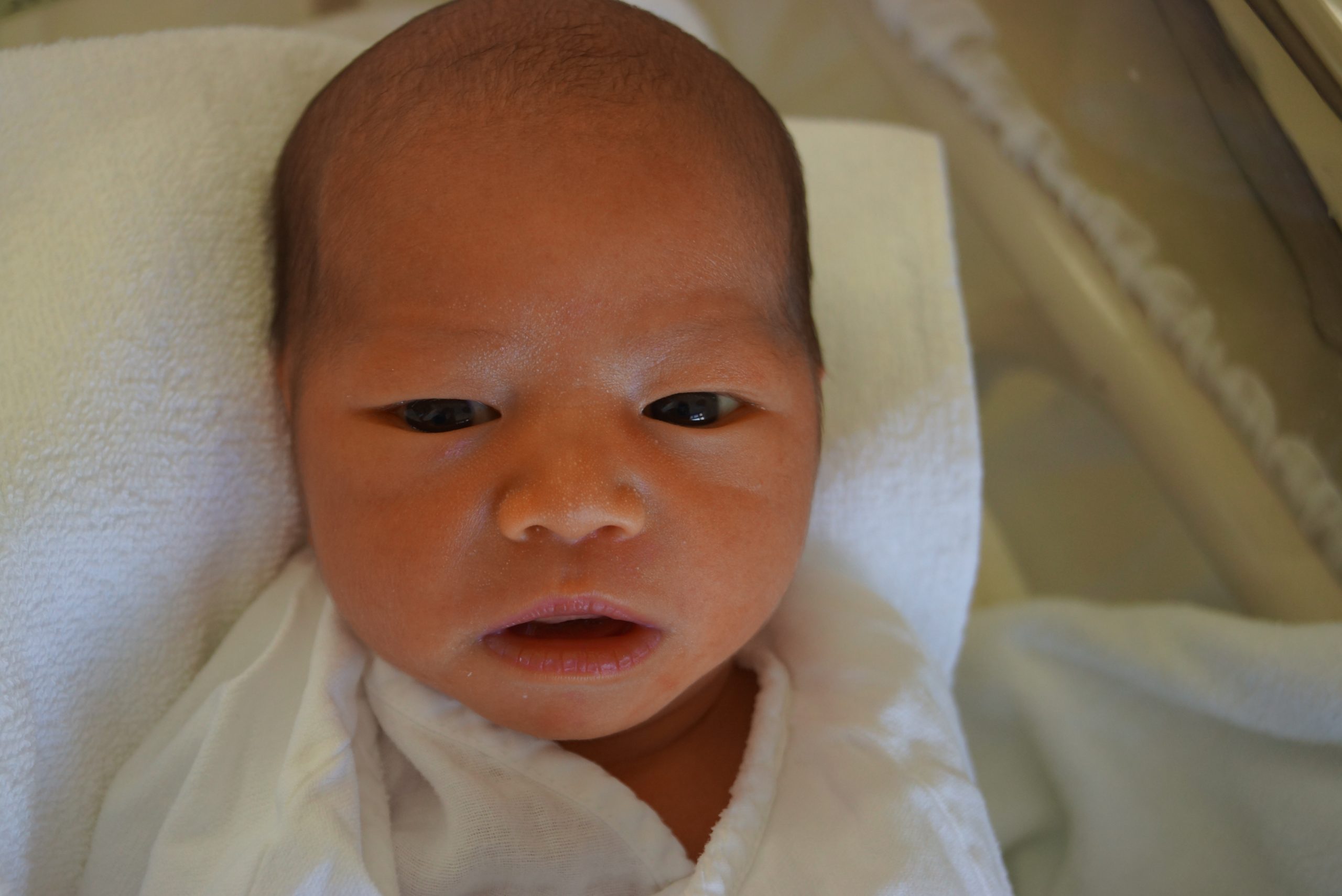 今月の赤ちゃん