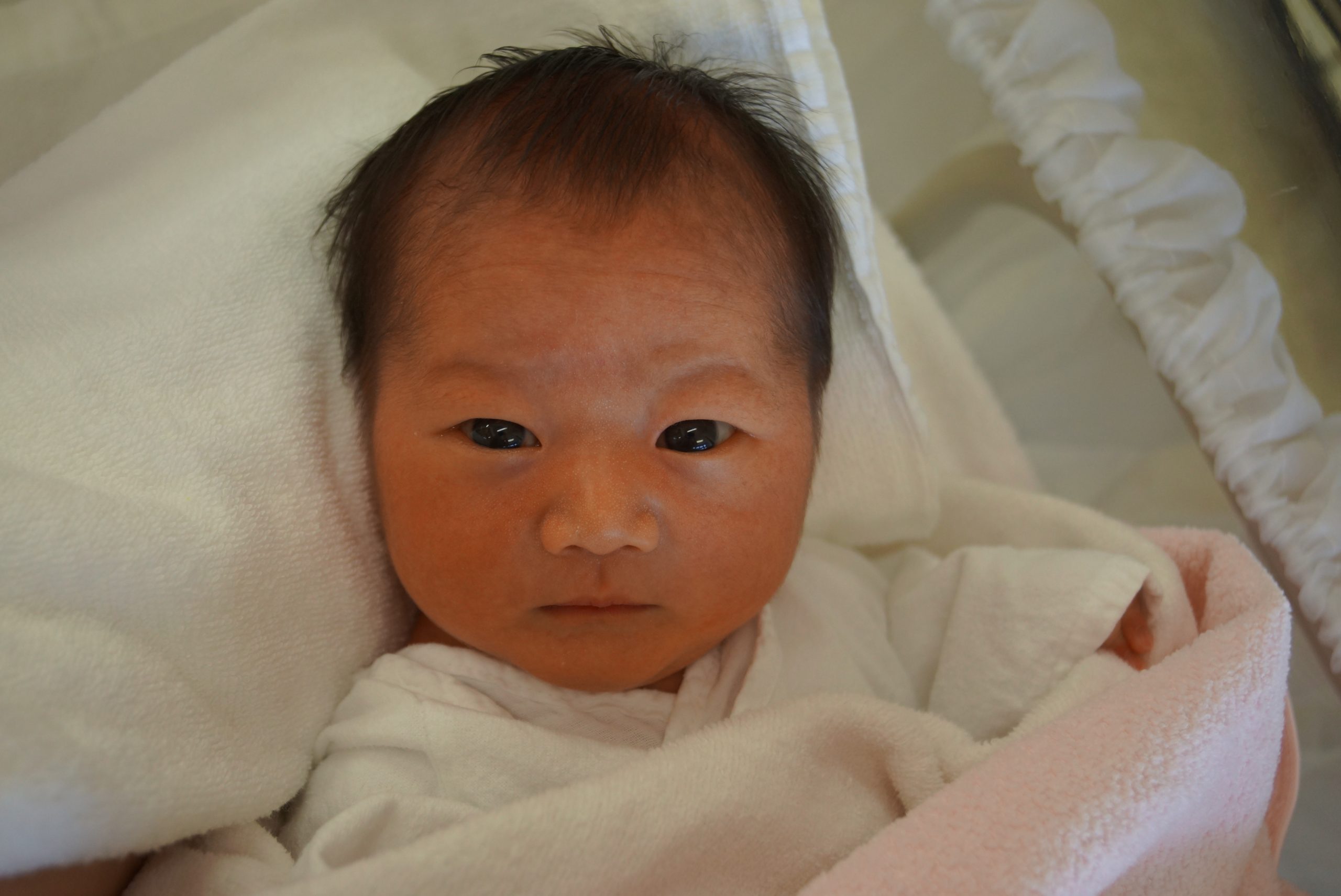 今月の赤ちゃん