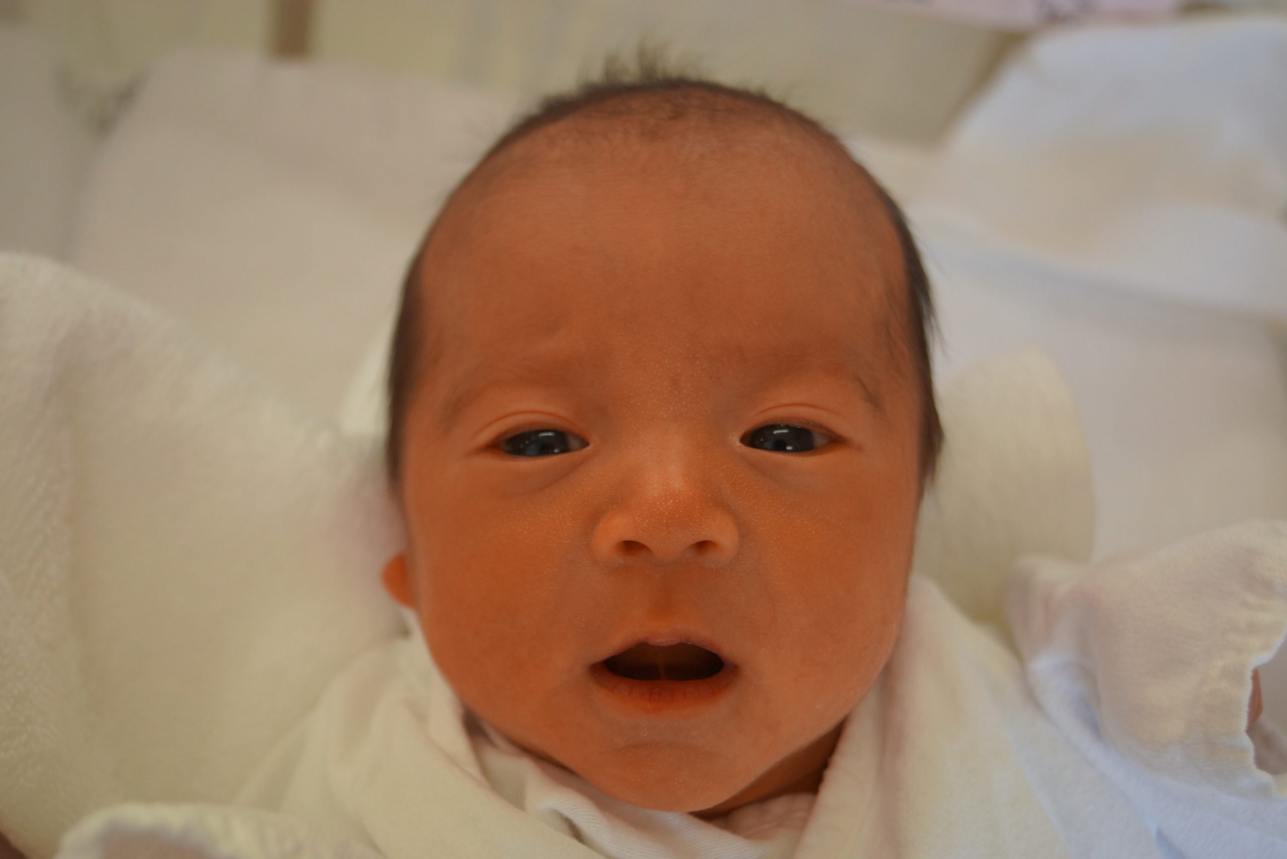 今月の赤ちゃん