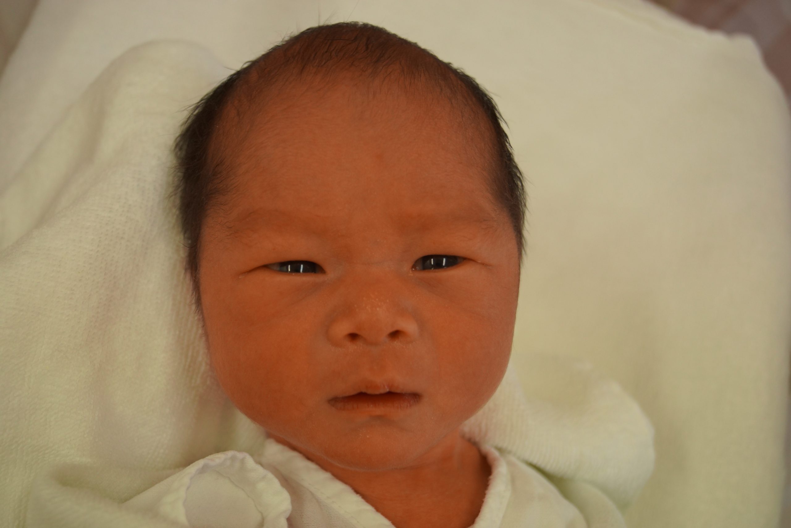 今月の赤ちゃん