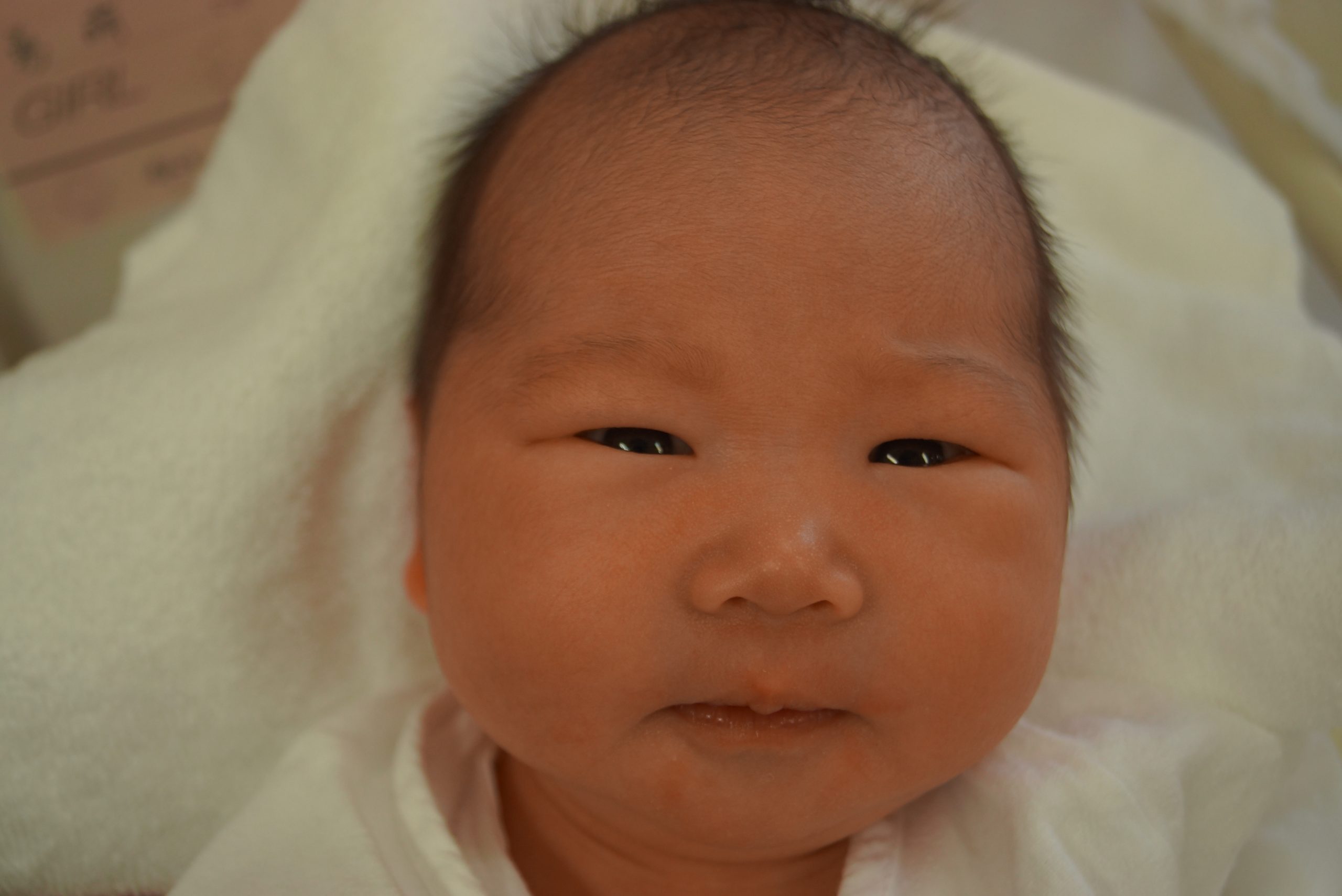 今月の赤ちゃん