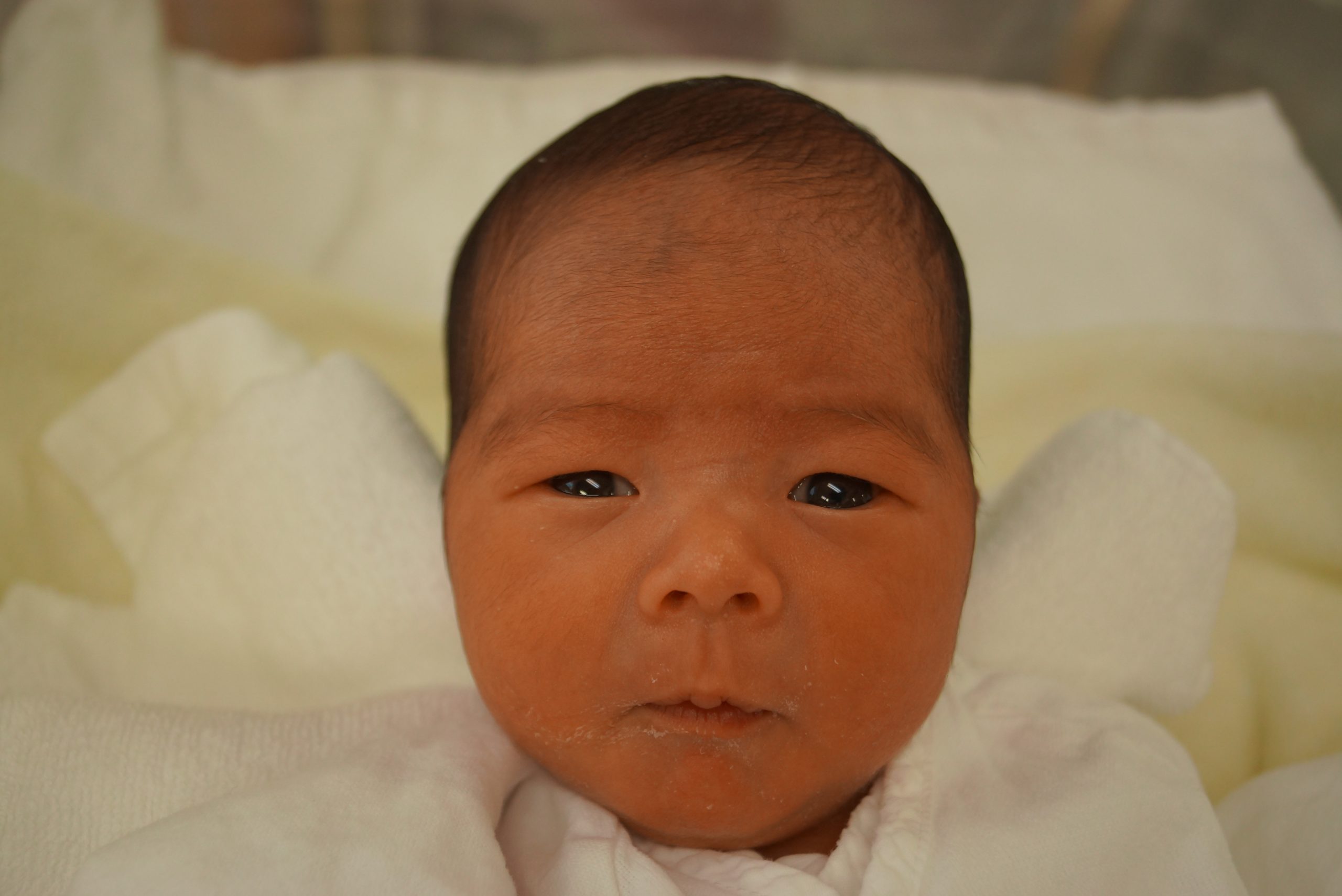 今月の赤ちゃん