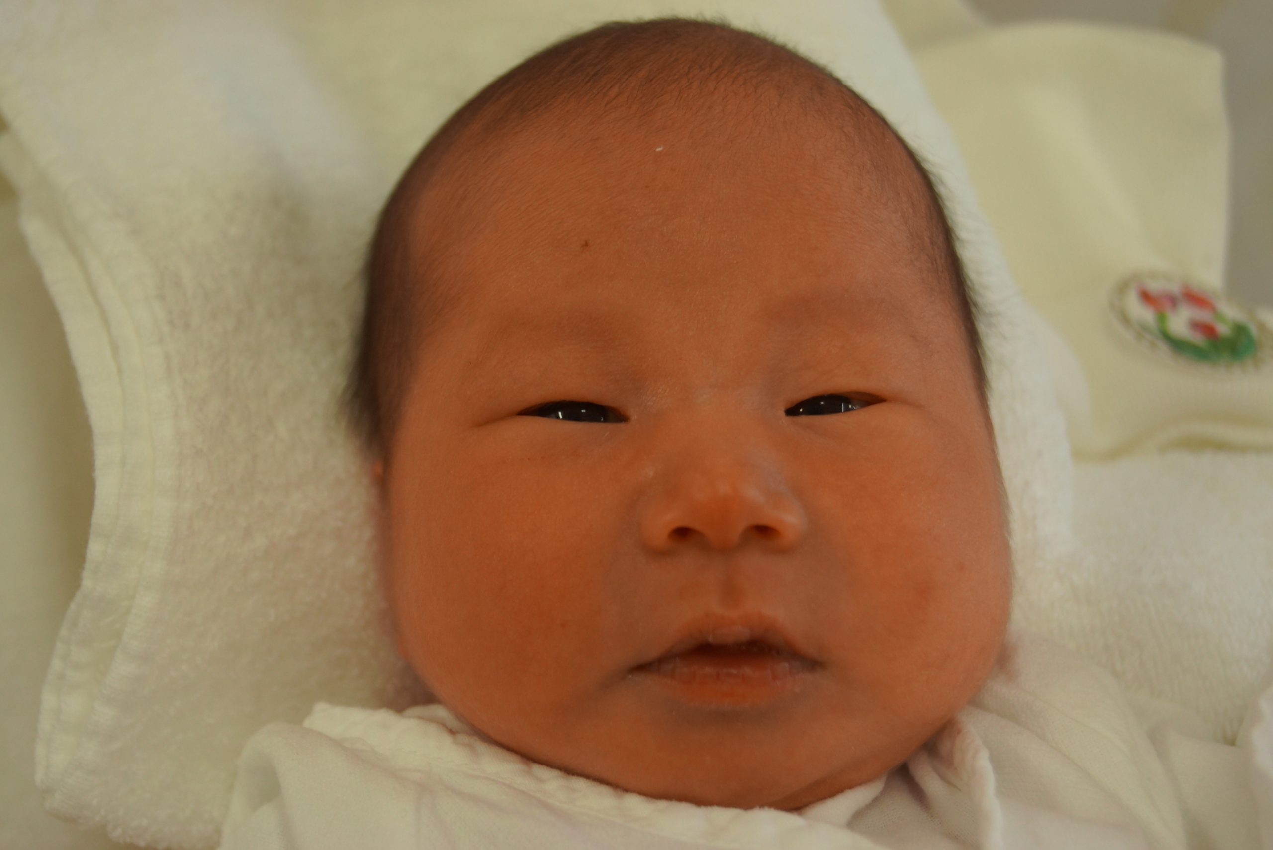 今月の赤ちゃん