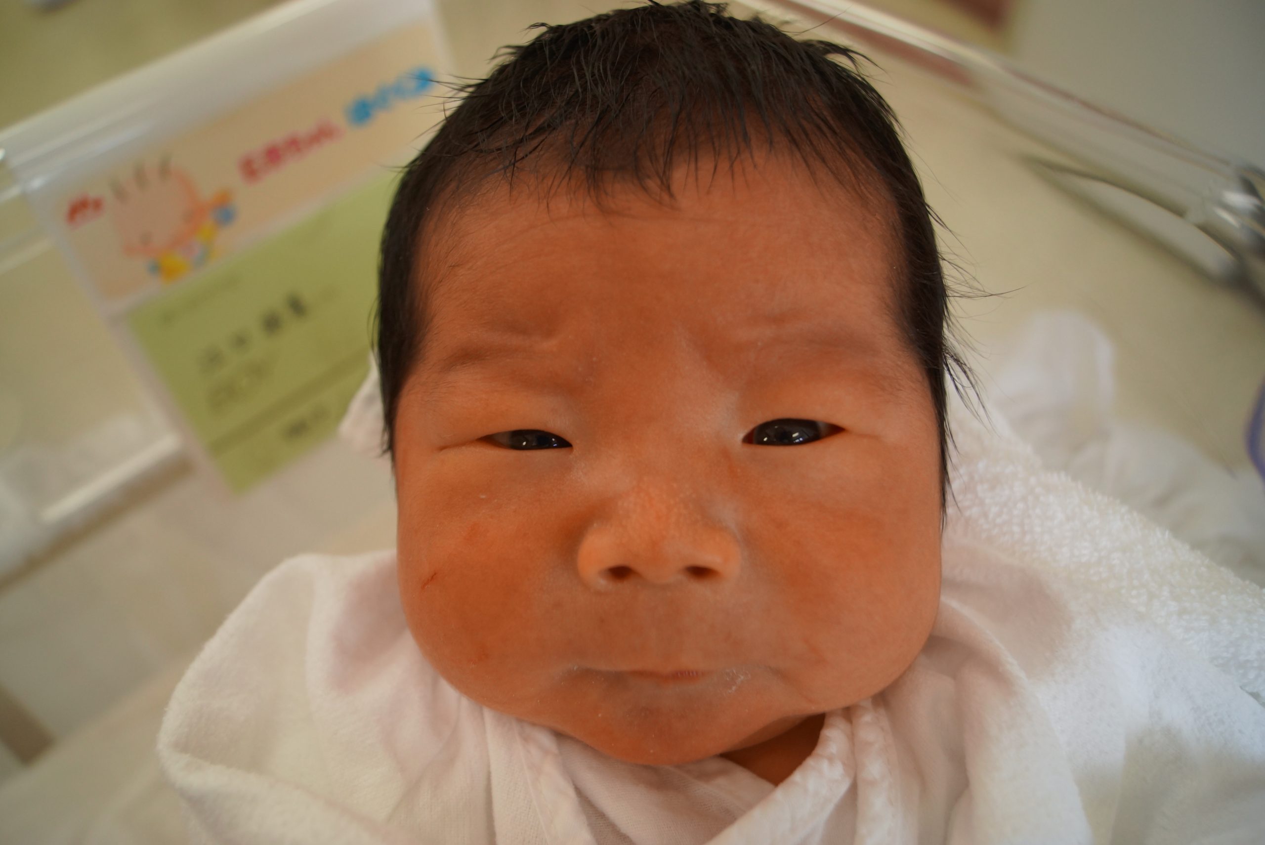 今月の赤ちゃん