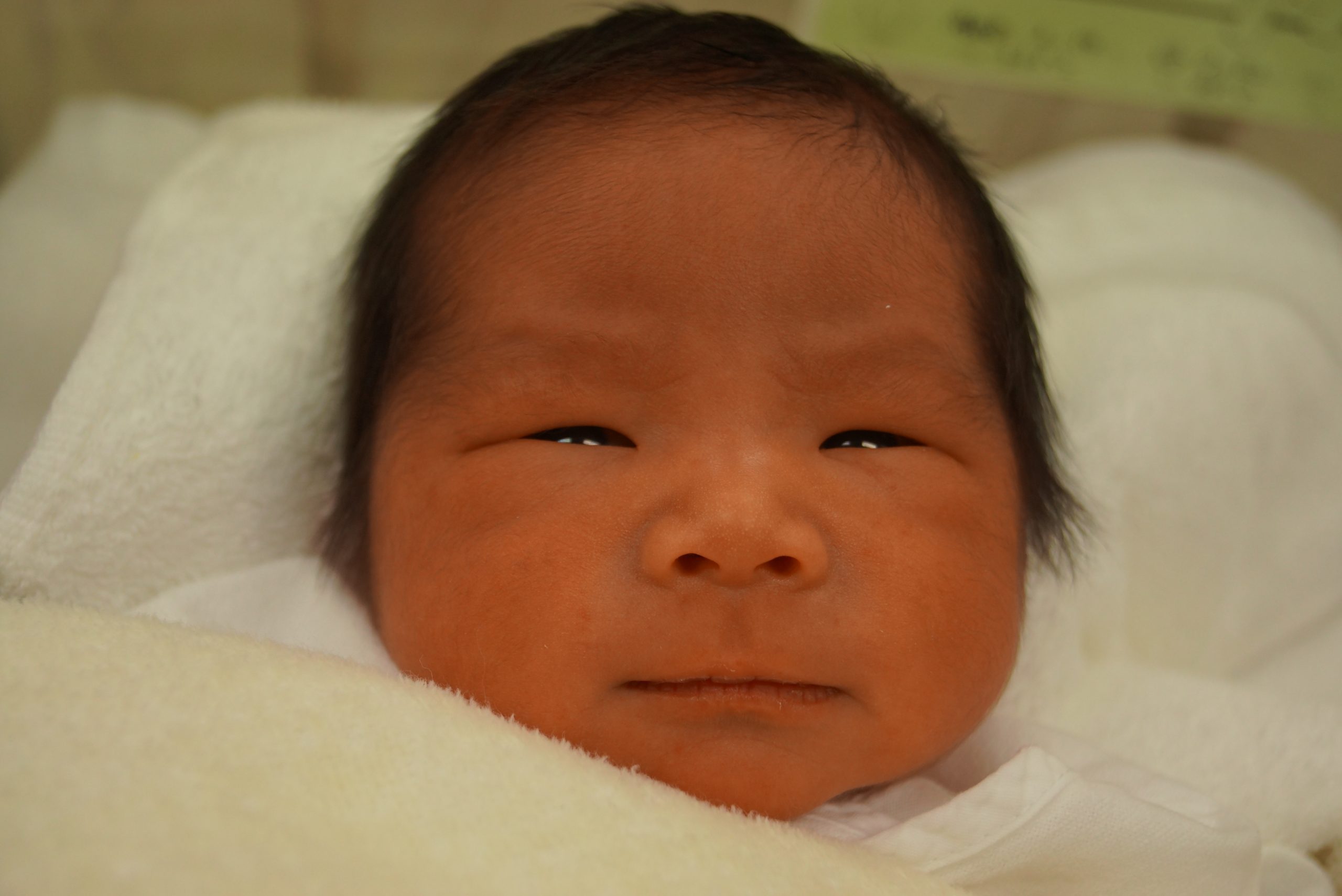 今月の赤ちゃん