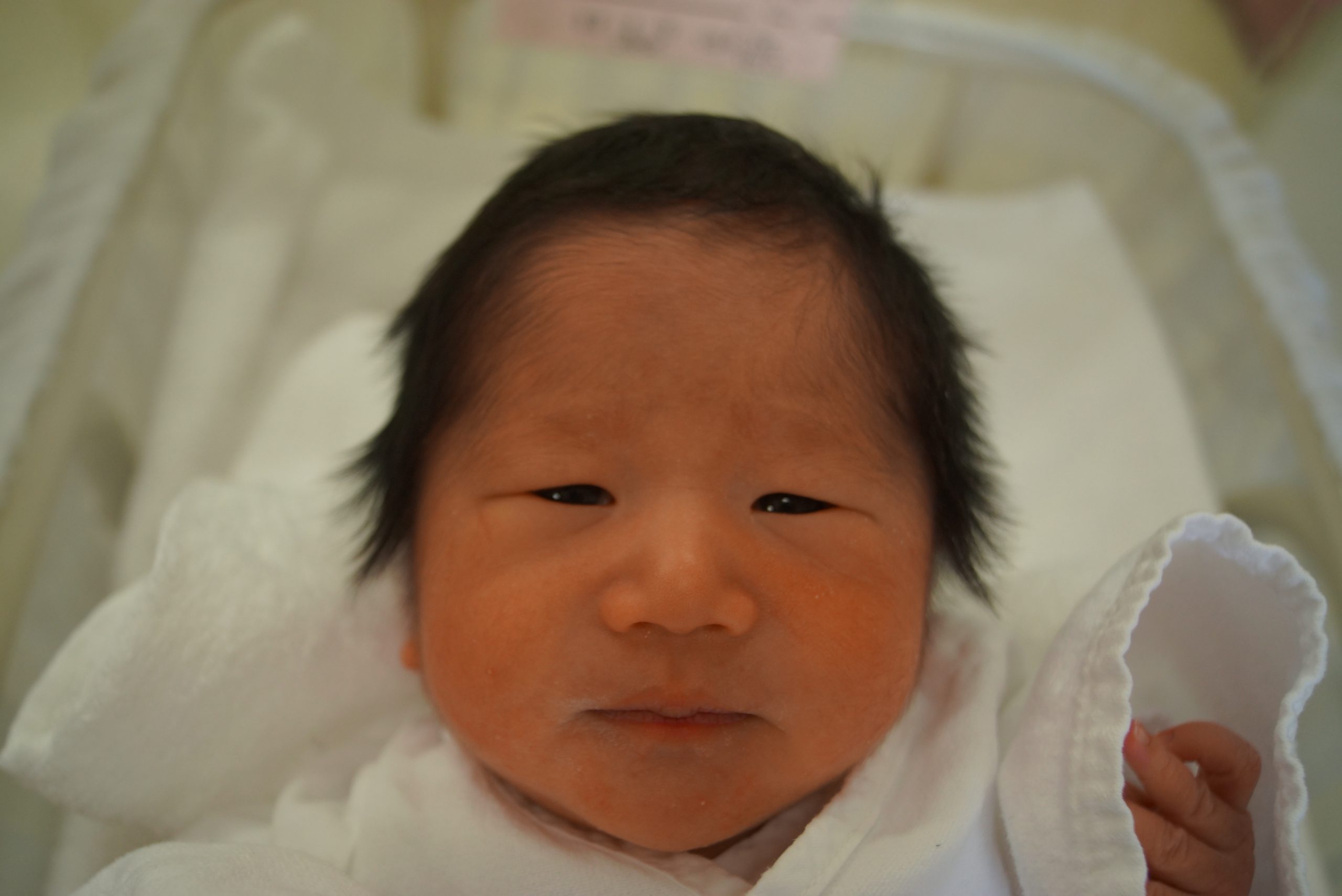 今月の赤ちゃん